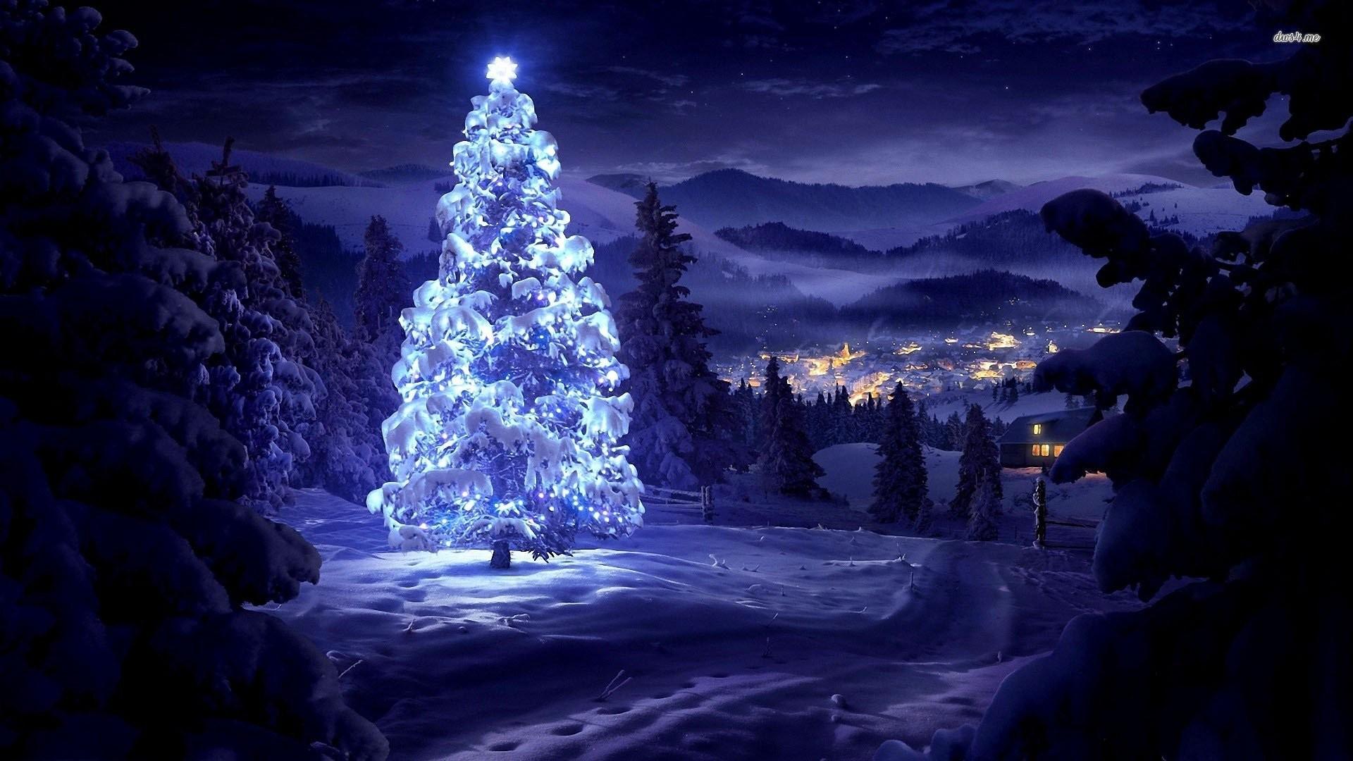 1920x1080 Christmas Wallpaper Widescreen Night Wallpaper HD Wallpaper & Background Download