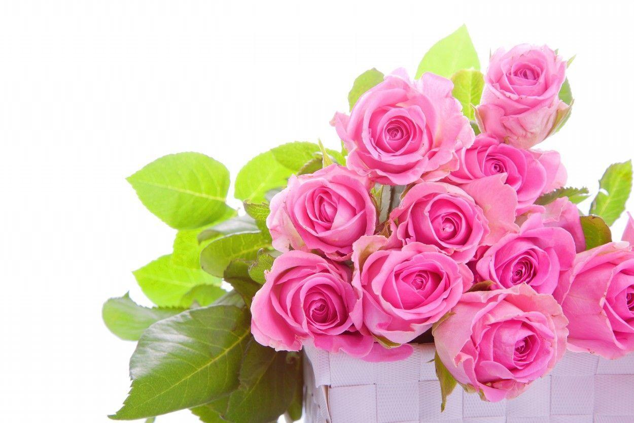 1250x833 Flower Bouquet Wallpaper. Different flowers, Flowers, Rose