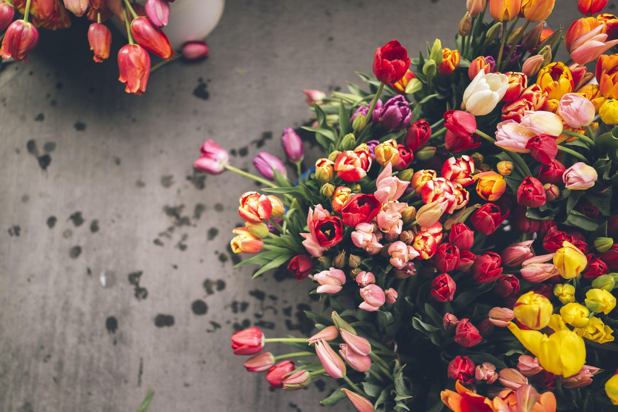 2048x1365 Bouquet Wallpaper