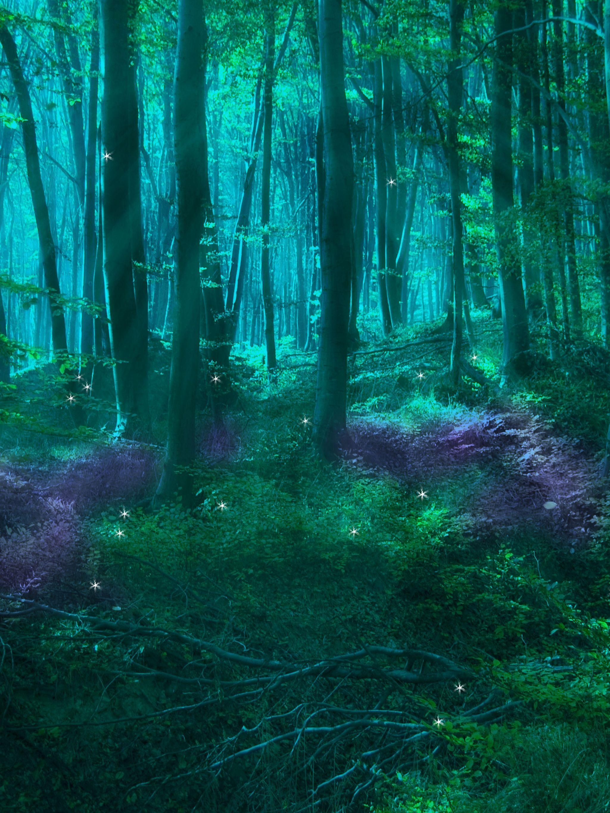 2048x2732 Magical Forest Phone Wallpaper