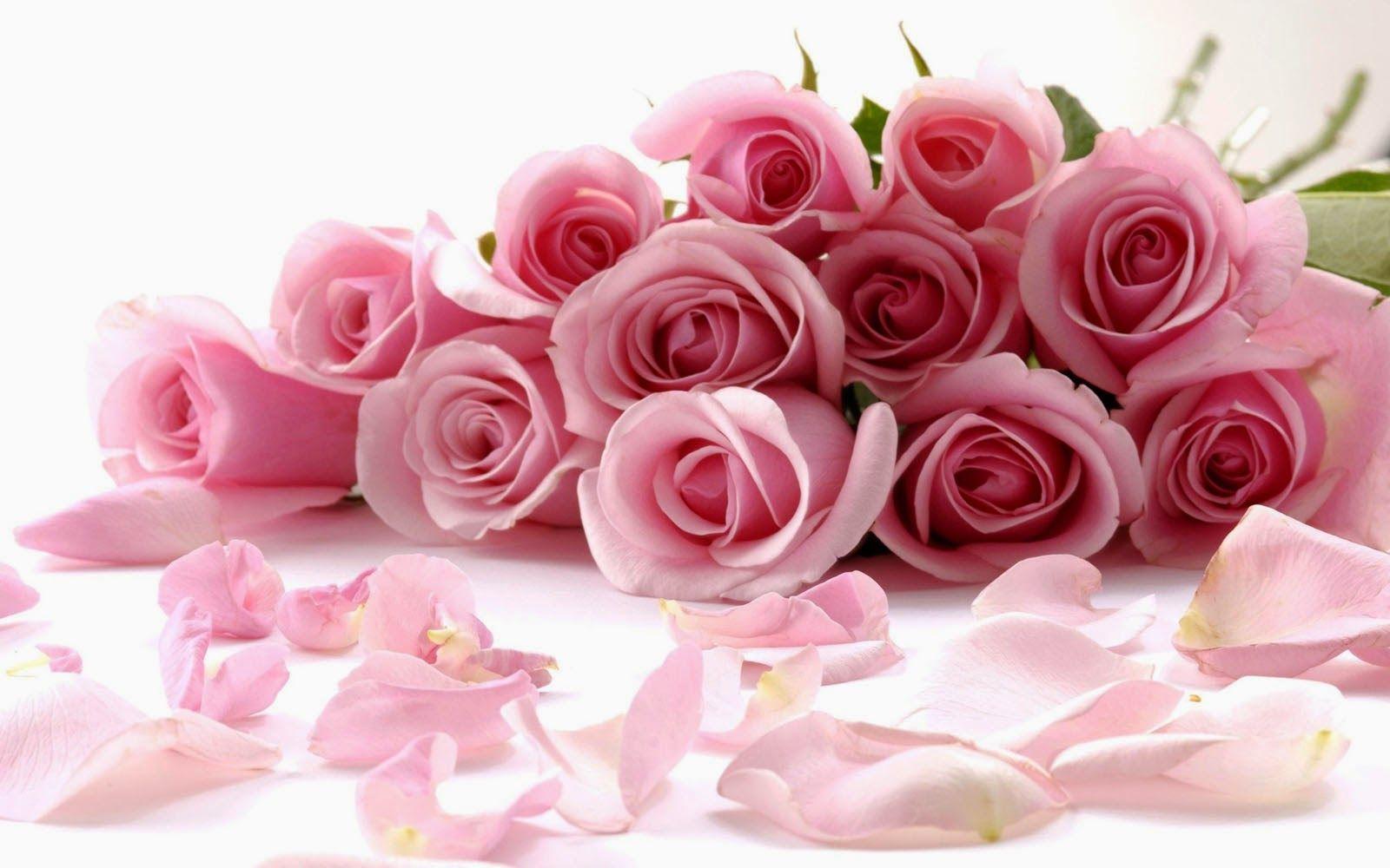 1600x1000 art picture: Pink Rose Bouquet Wallpaper
