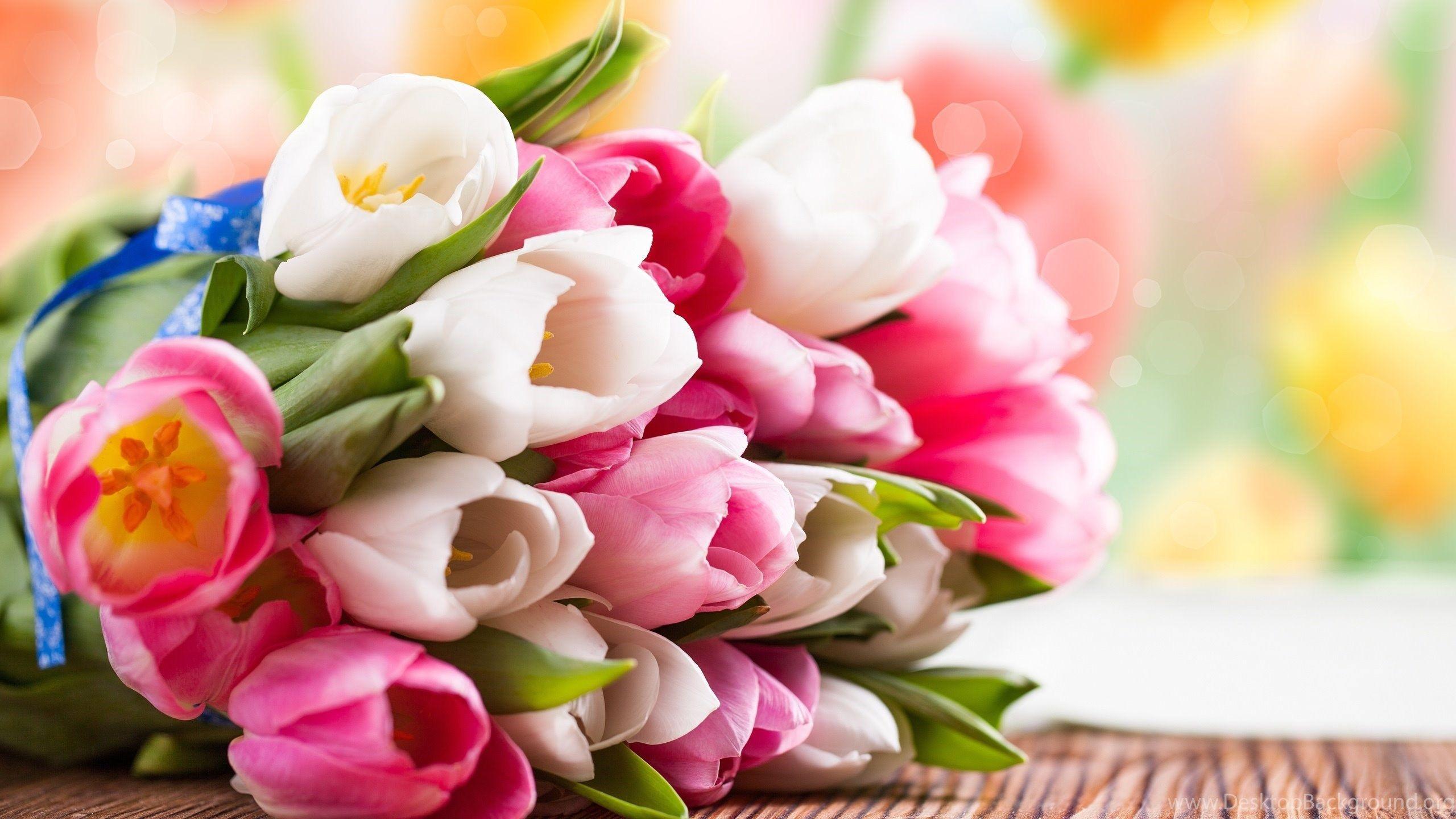 2560x1440 Pink And White Tulip Flower Bouquet Wallpaper, Pink HD Wallpaper. Desktop Background