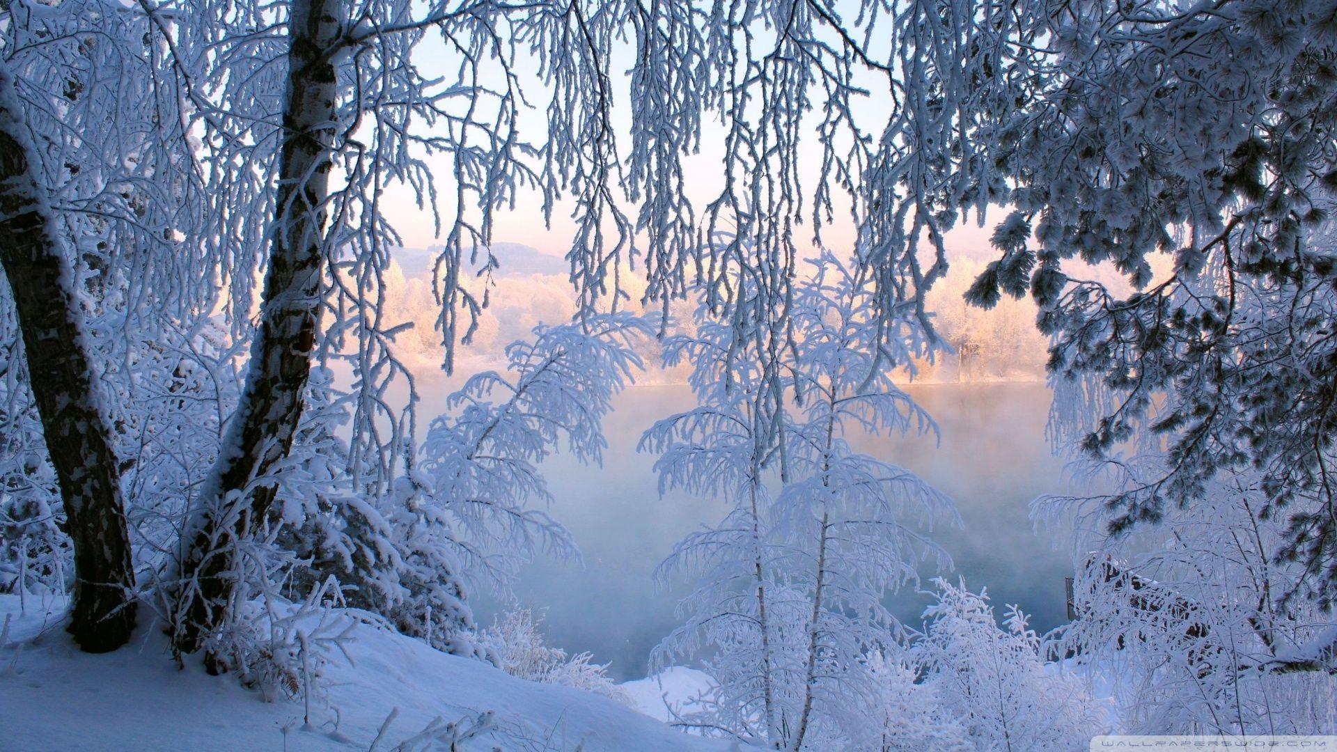 1920x1080 Free download beautiful winter frost 00450626 Welcome to Holy Rosary Catholic [1920x1080] for your Desktop, Mobile & Tablet. Explore HD Beautiful Natural Wallpaper HD2017. HD Beautiful Natural Wallpaper HD