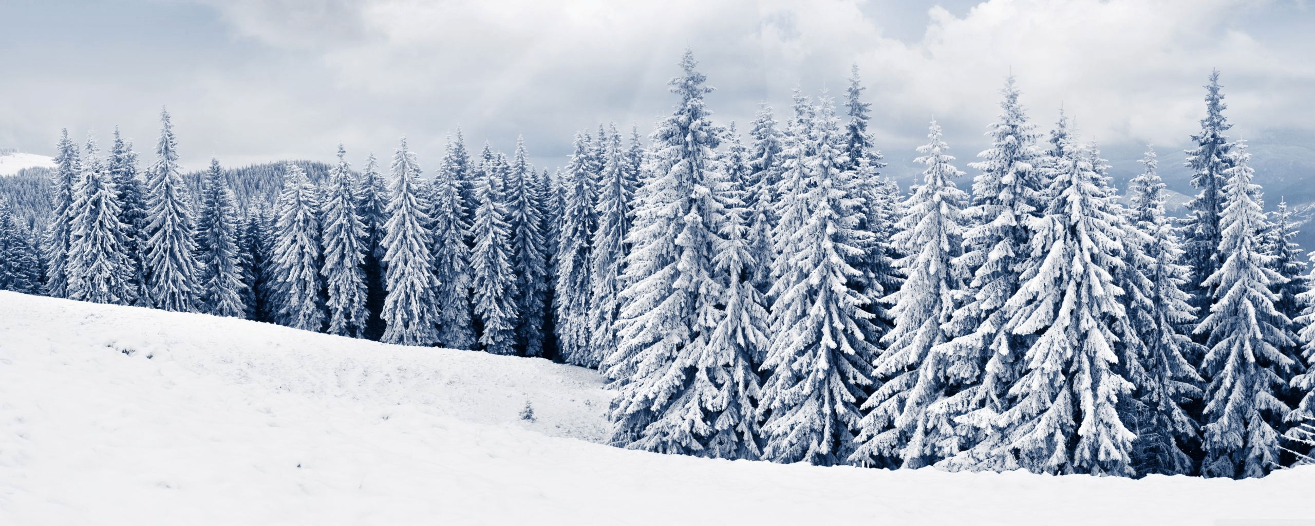 2560x1024 Free Download Winter Wallpaper 2 Monitors Background Background Dual Monitor
