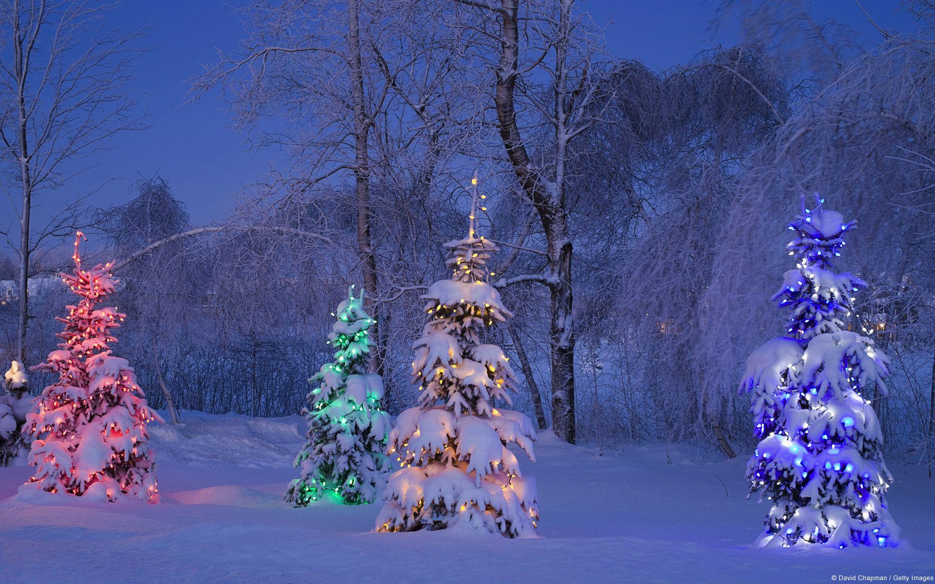 1920x1200 free winter wallpaper for your computer desktop or smartphone