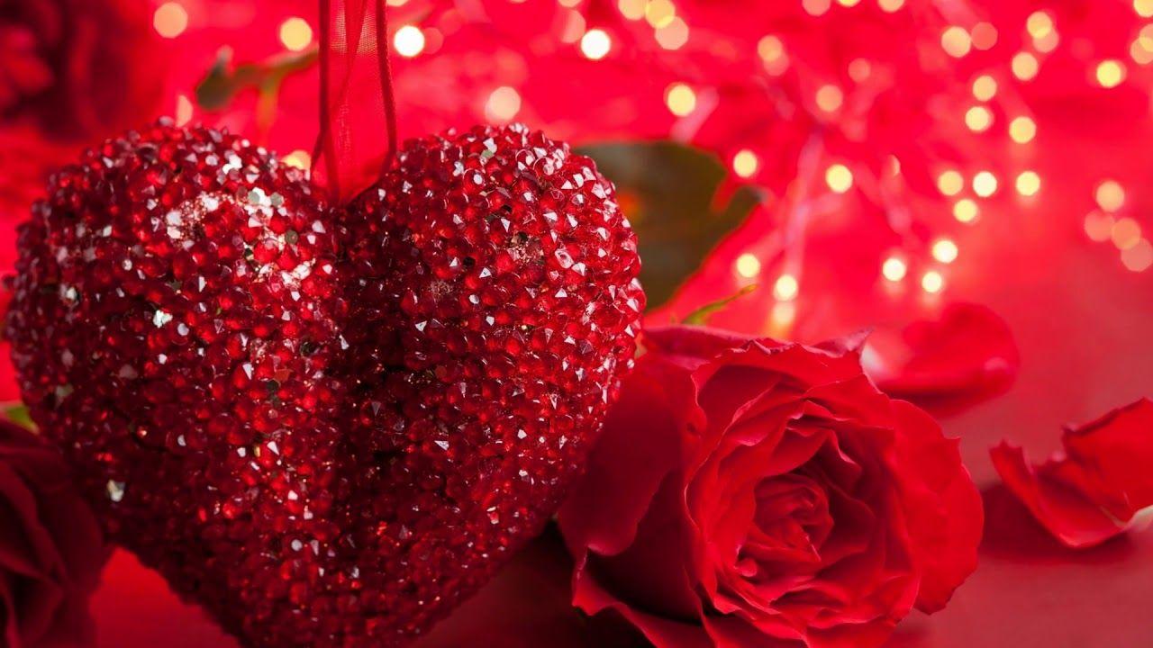 1280x720 Beautiful Love Wallpaper HD Valentine Day Rose HD Wallpaper