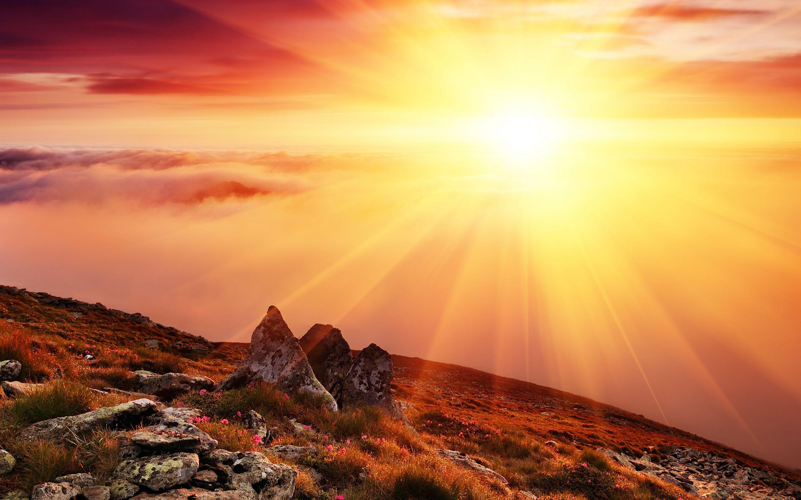 2560x1600 Sunrise Background Wallpaper