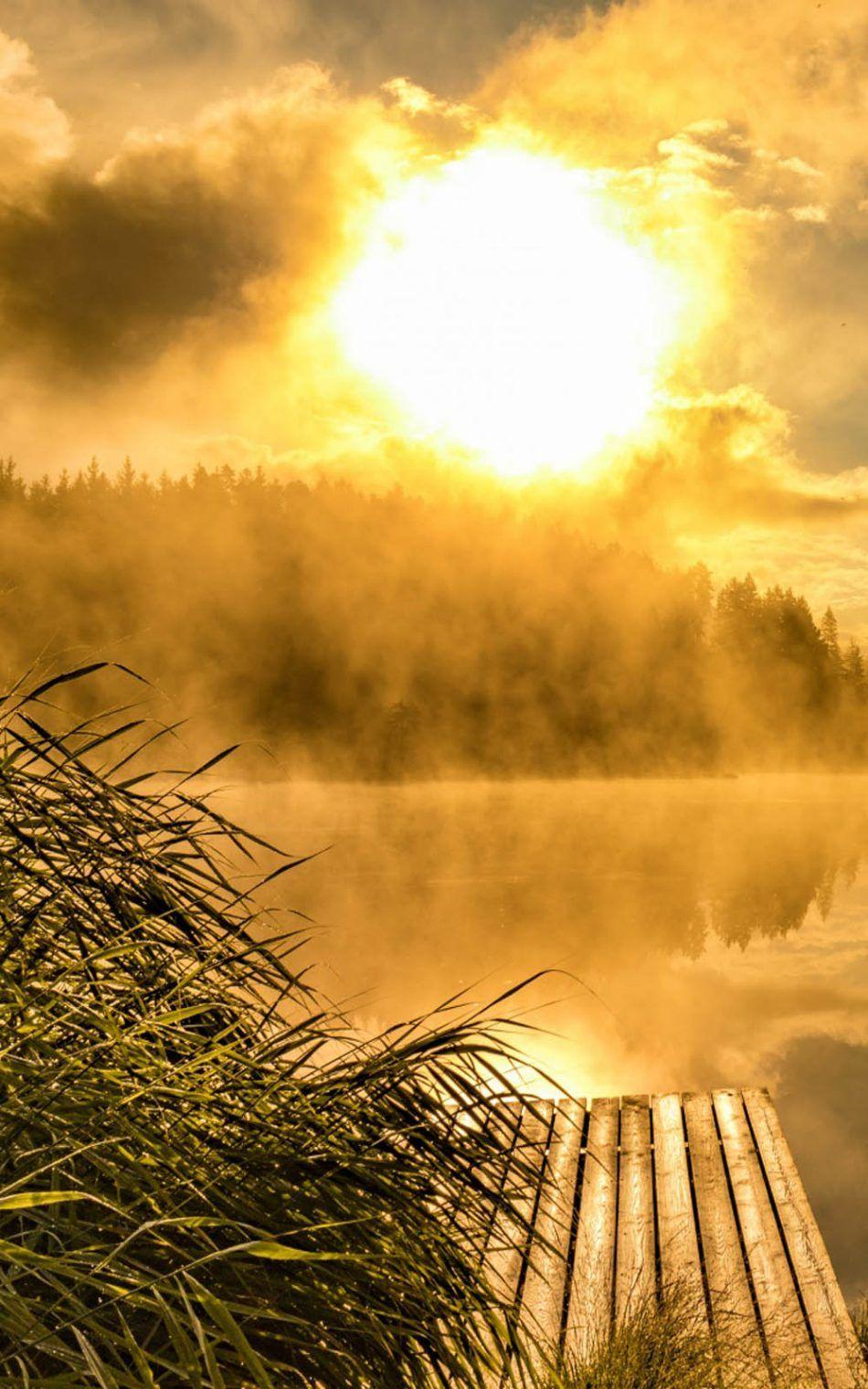 950x1520 Foggy Golden Sunrise 4K Ultra HD Mobile Wallpaper