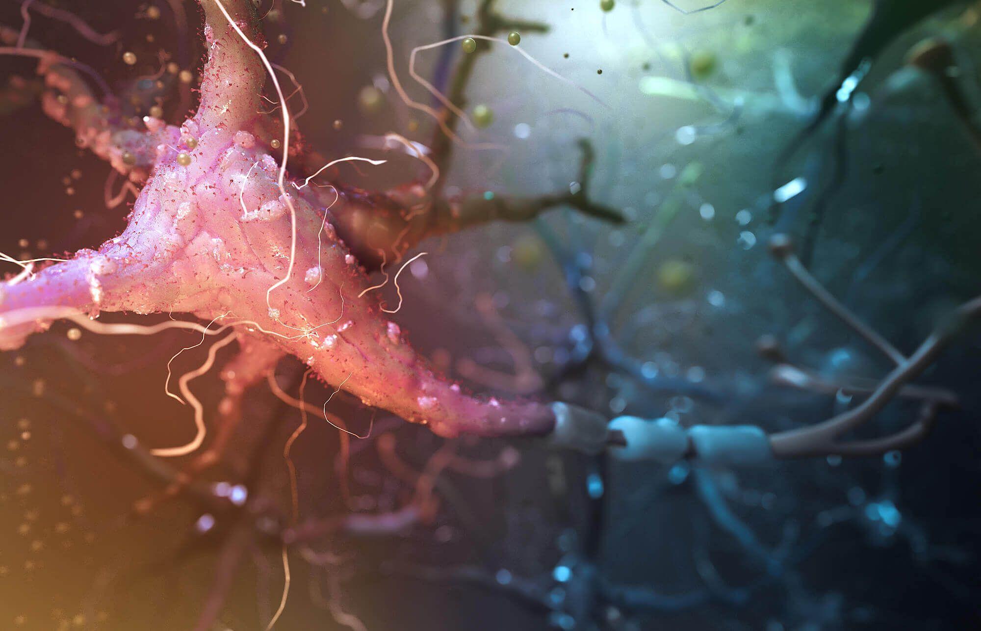 2000x1286 Home Agency Medical Device Marketing Medical. Science illustration, I miss you wallpaper, Medical illustration