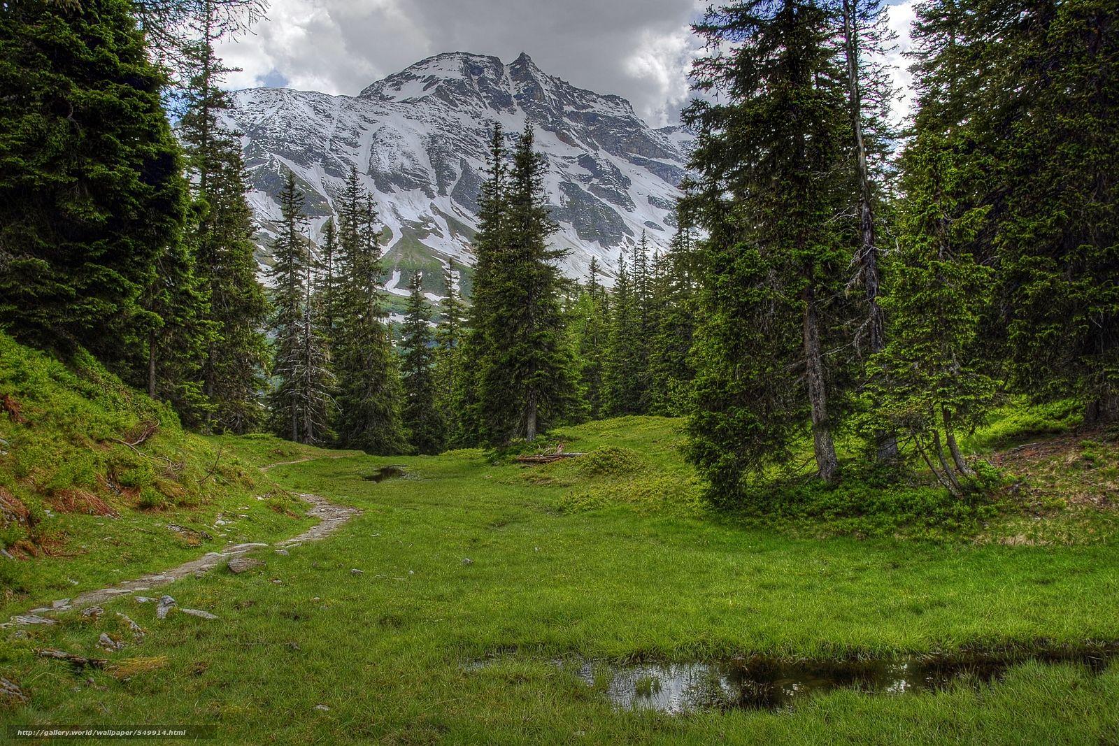 1600x1067 Free download wallpaper Austria Mountains Alps meadow desktop wallpaper [1600x1067] for your Desktop, Mobile & Tablet. Explore Austrian Alps Wallpaper. Italian Alps Wallpaper, Swiss Alps HD Wallpaper, Salzburg Austria Wallpaper