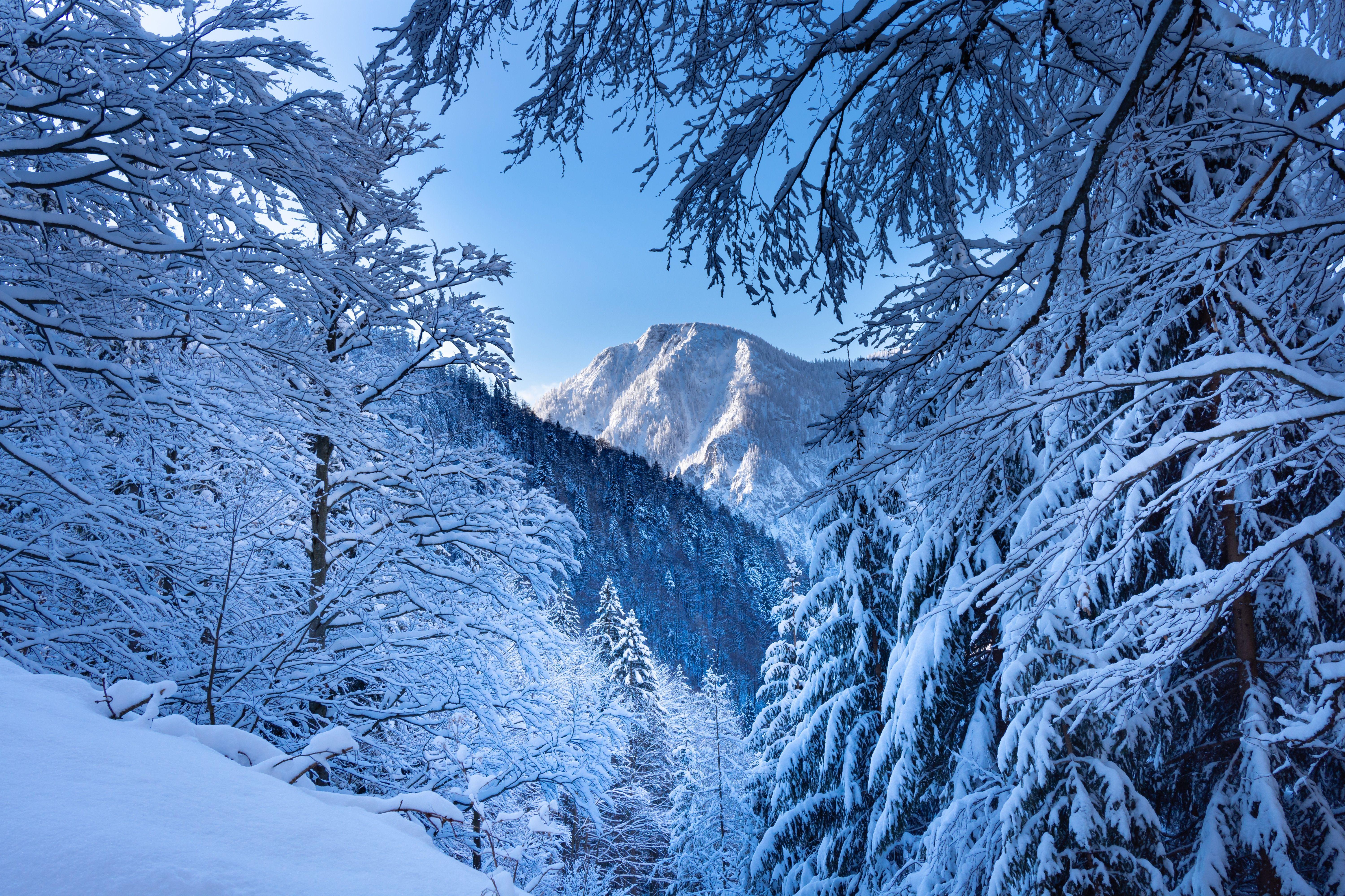 6000x4000 Snow Alps Austria 5k, HD Nature, 4k Wallpaper, Image, Background, Photo and Picture
