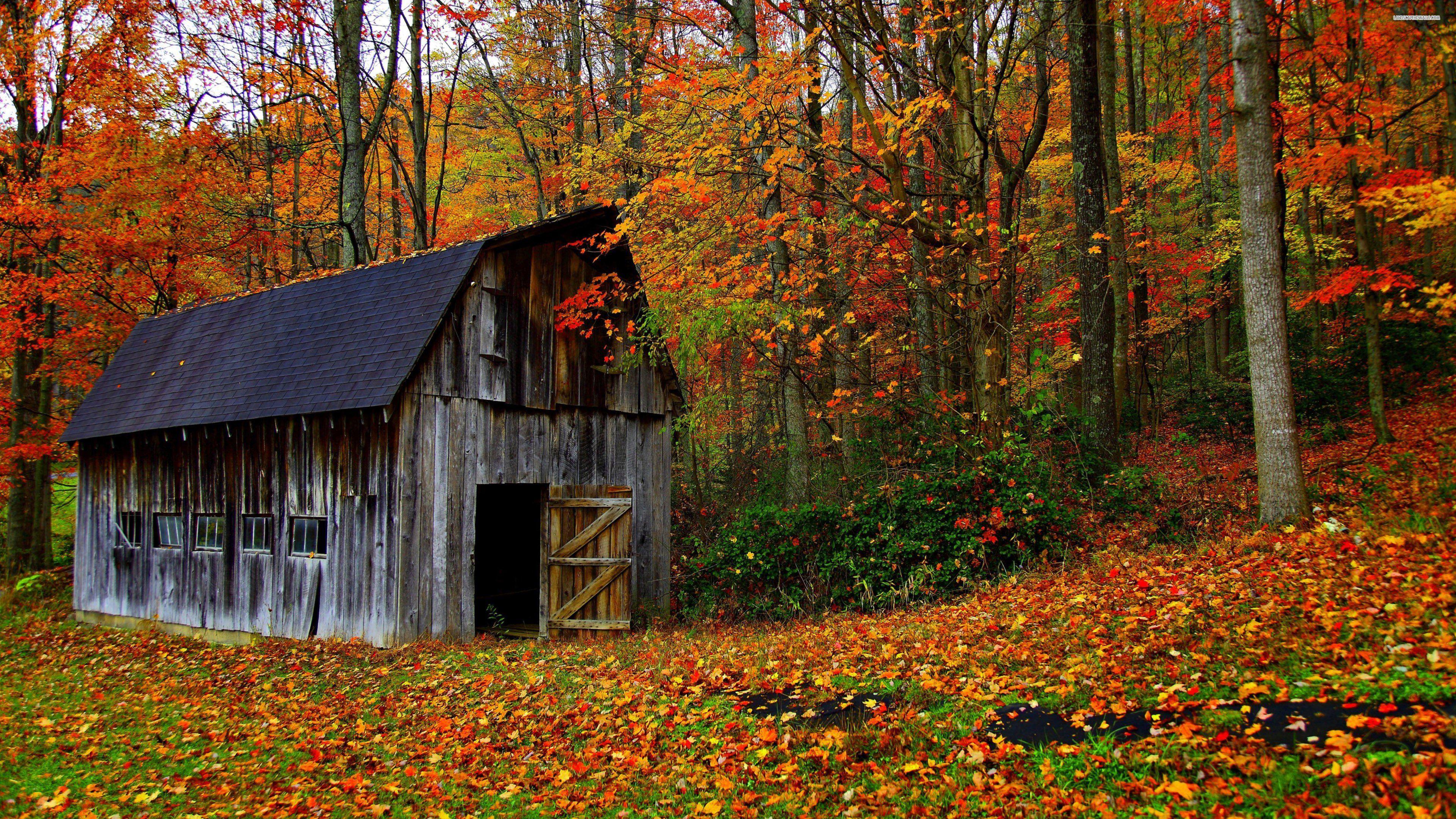 3840x2160 Autumn Barn Wallpaper