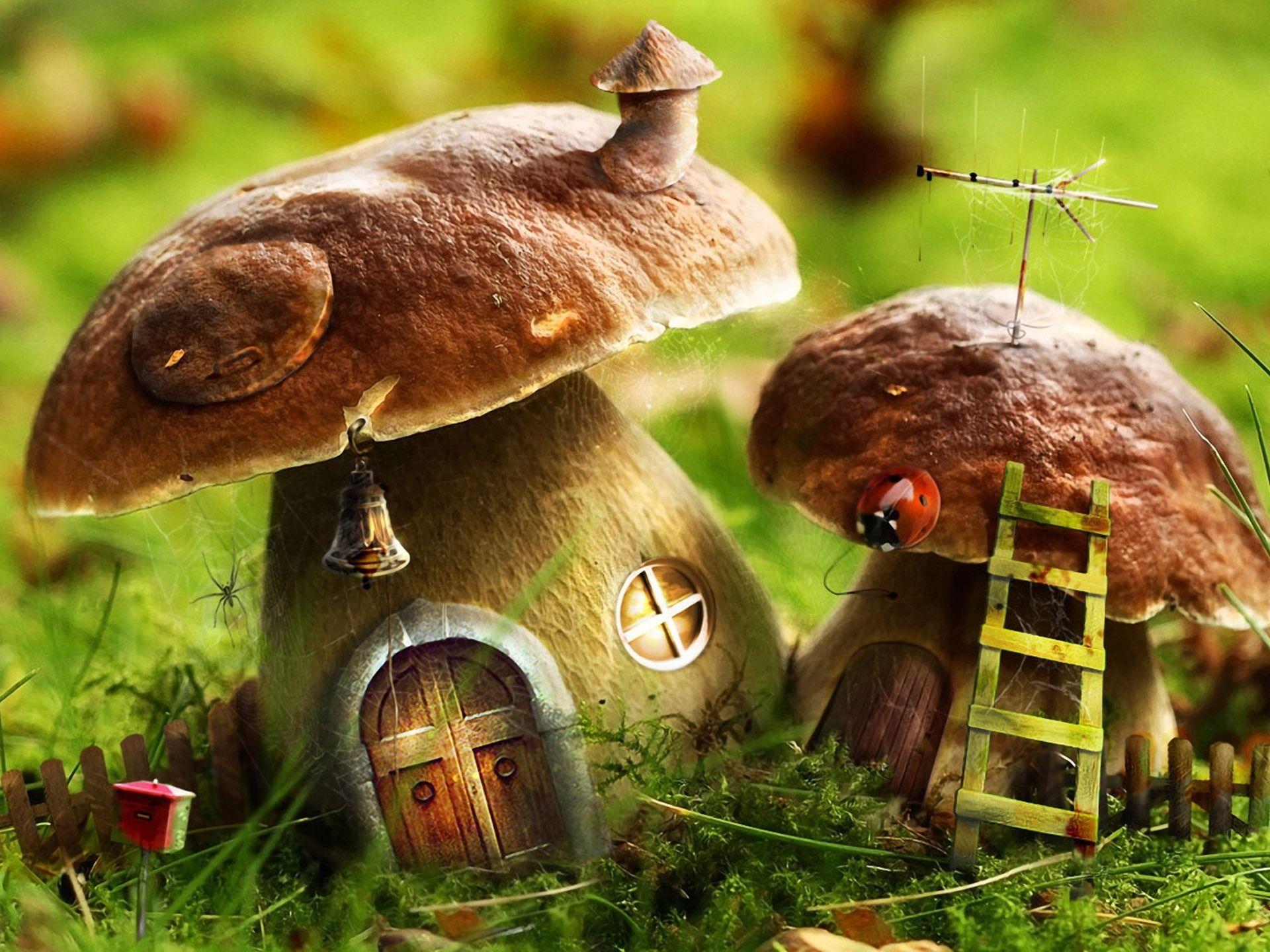 1920x1440 Wallpaper HD For Home