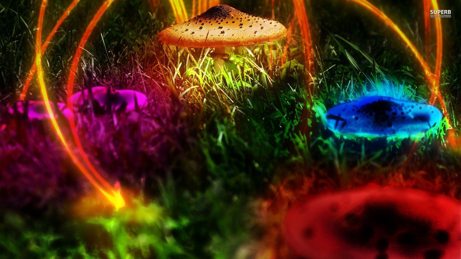 1920x1080 Mushroom Wallpaper