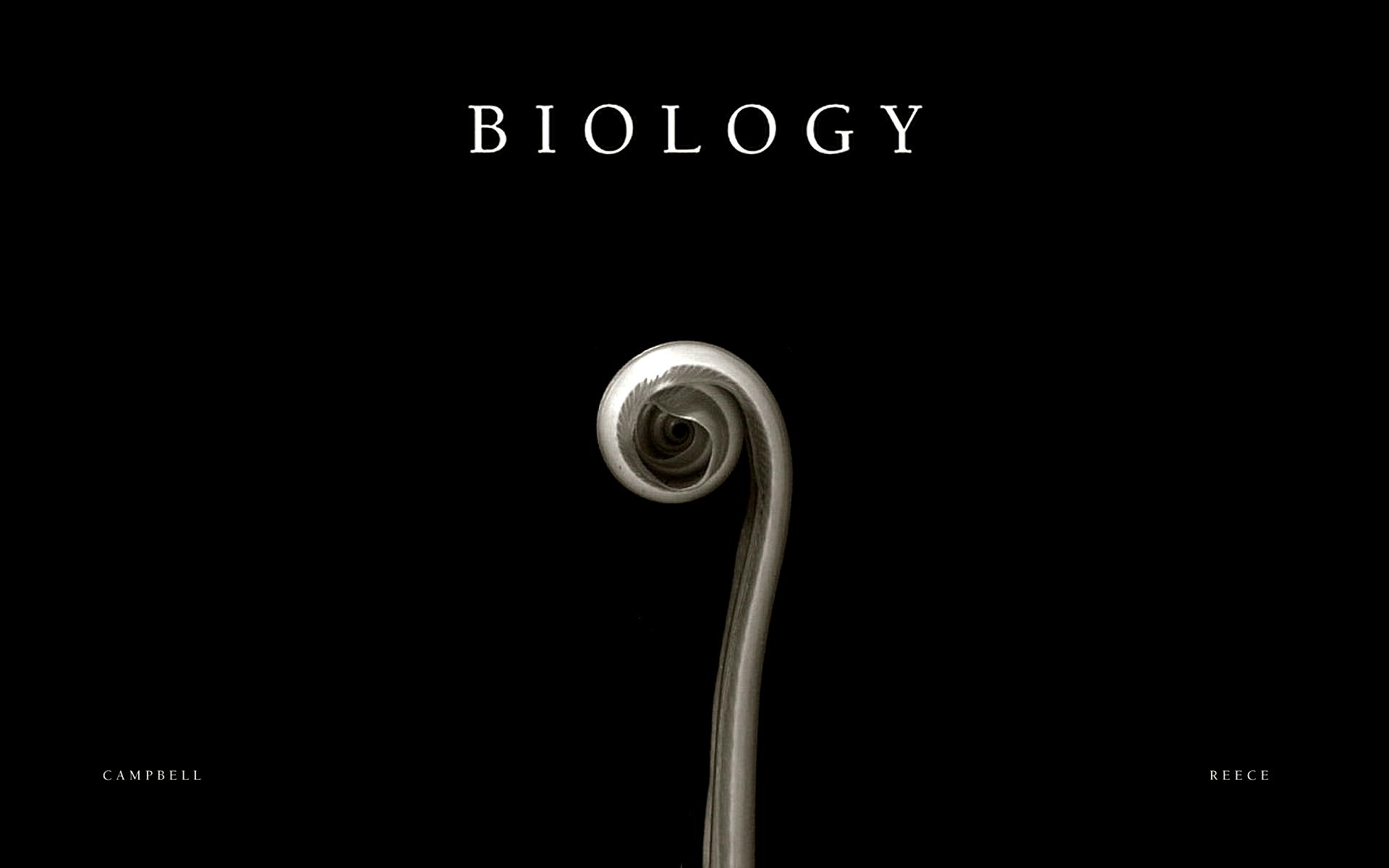 1920x1200 Biology HD Wallpaper