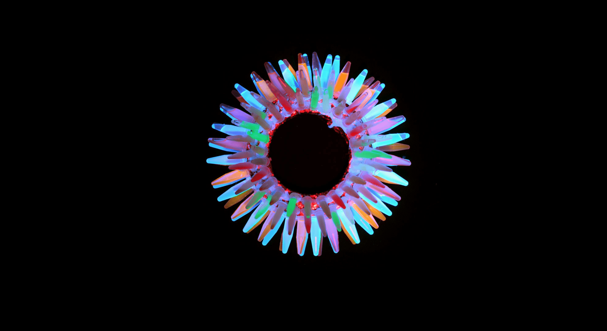 1980x1080 Biology HD Wallpaper