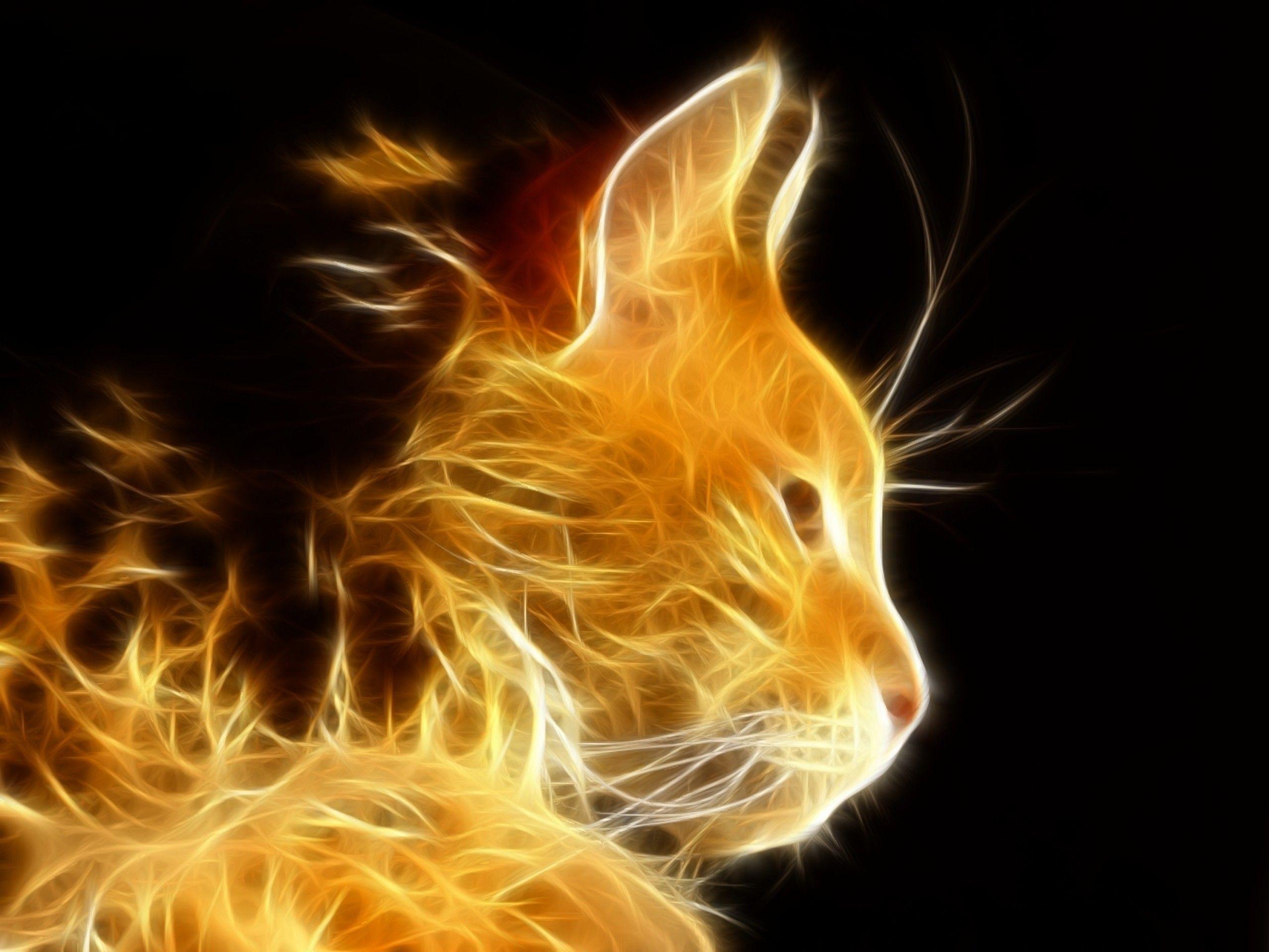 2560x1920 Free Space Cat Wallpaper For iPhone Â« Long Wallpaper