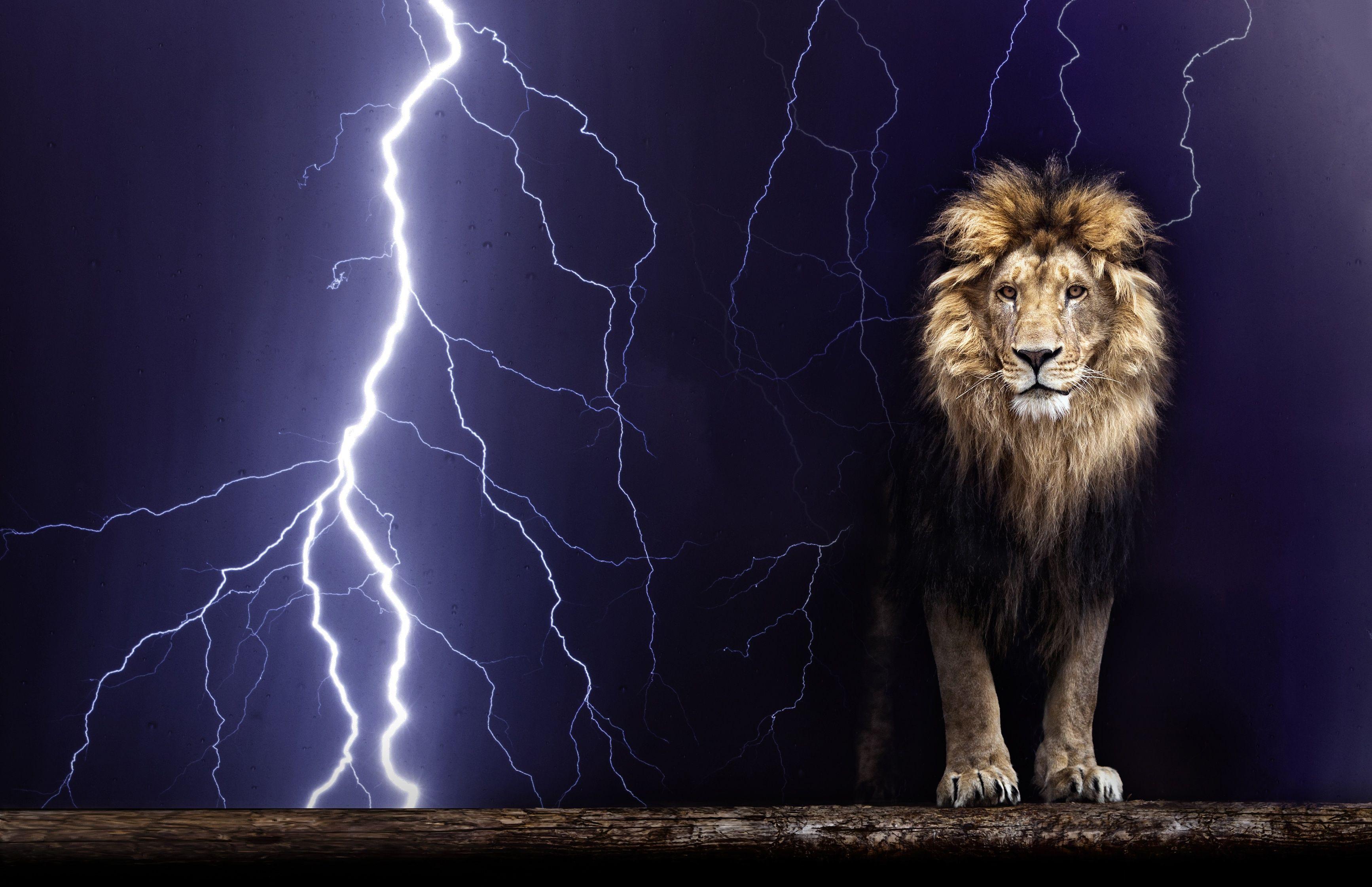 Lightning Lion Wallpapers - Top Free Lightning Lion Backgrounds -  WallpaperAccess