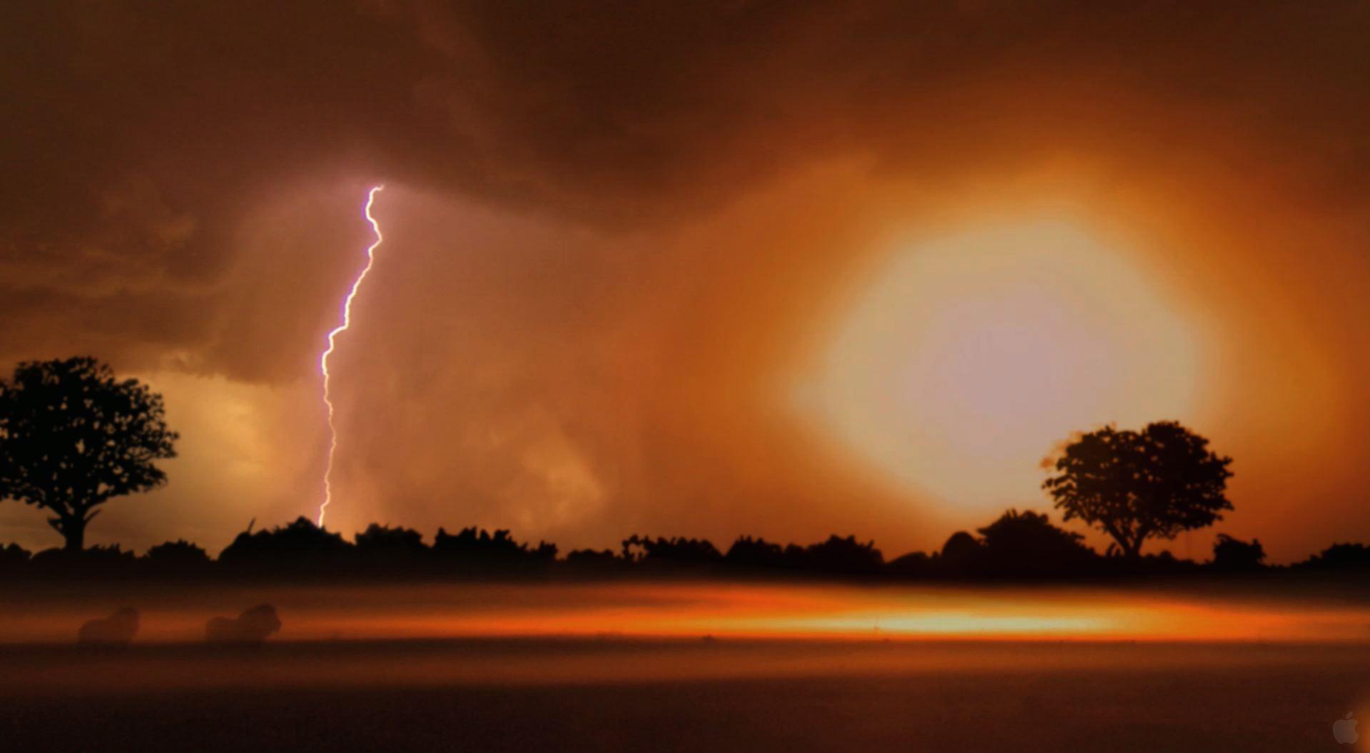1920x1056 Lightning Strikes in the Savanna Desktop Wallpaper