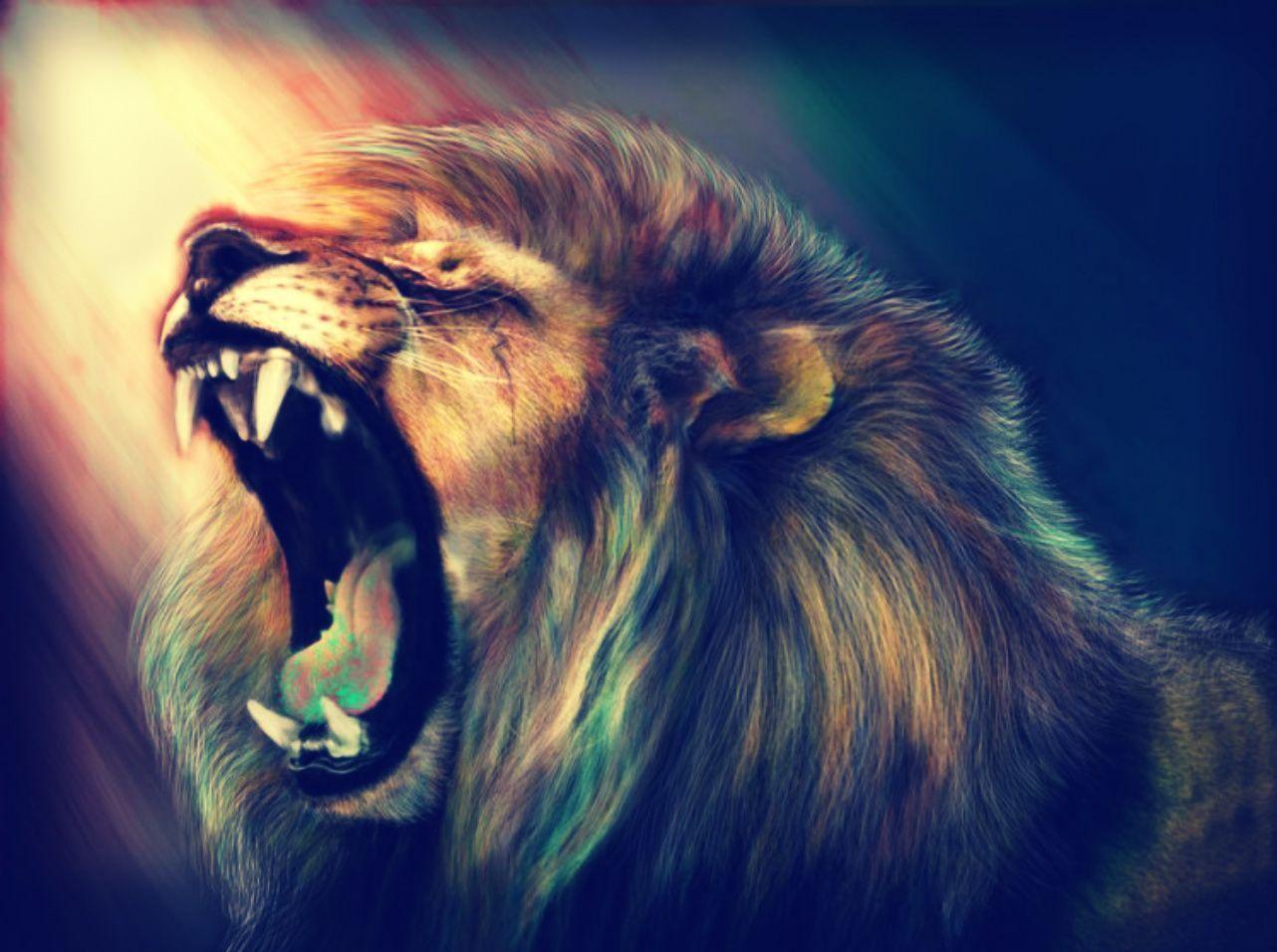 1282x956 Lions Wallpaper