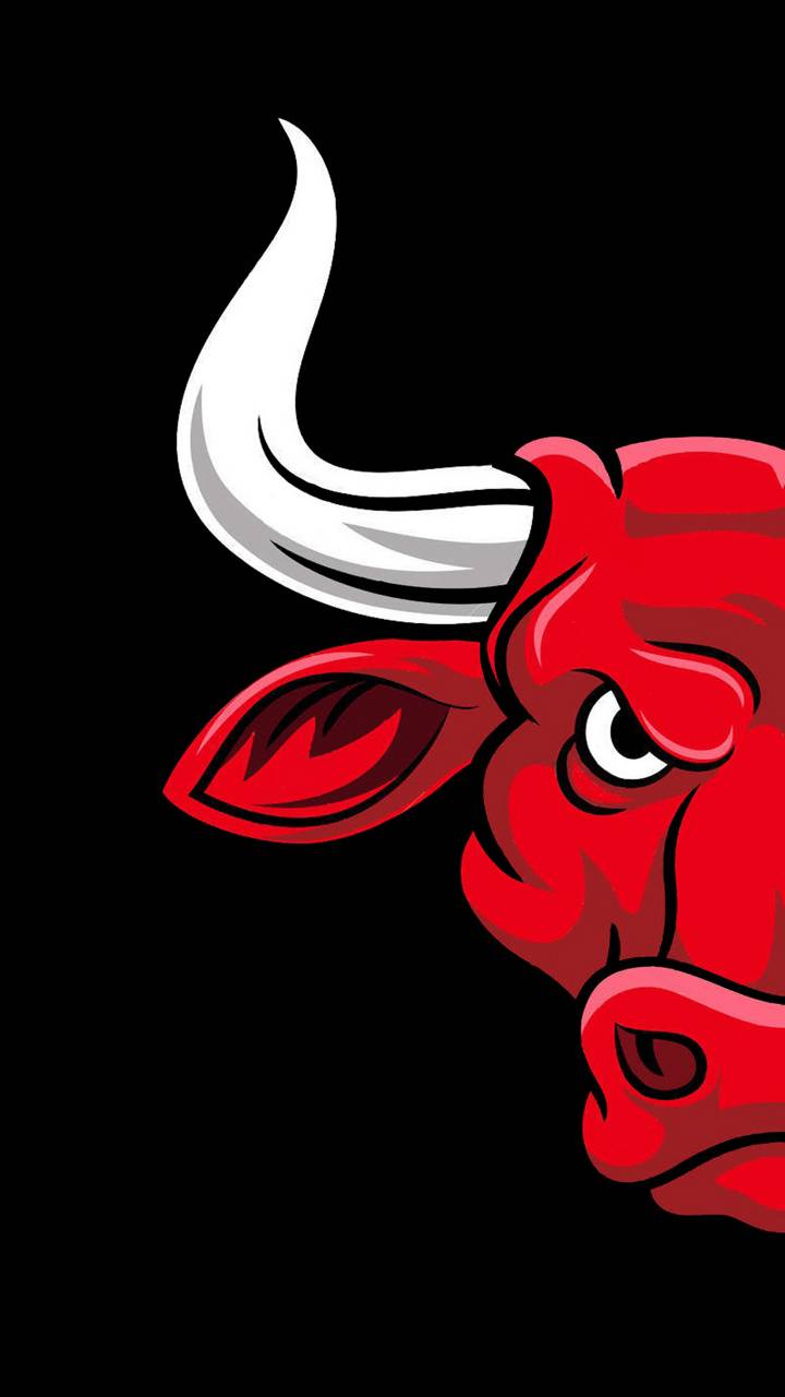 720x1280 Chicago Bulls wallpaper