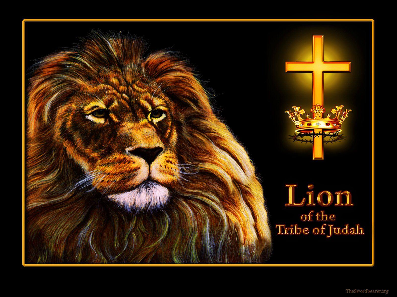 1600x1200 Lion Of Judah Wallpaper