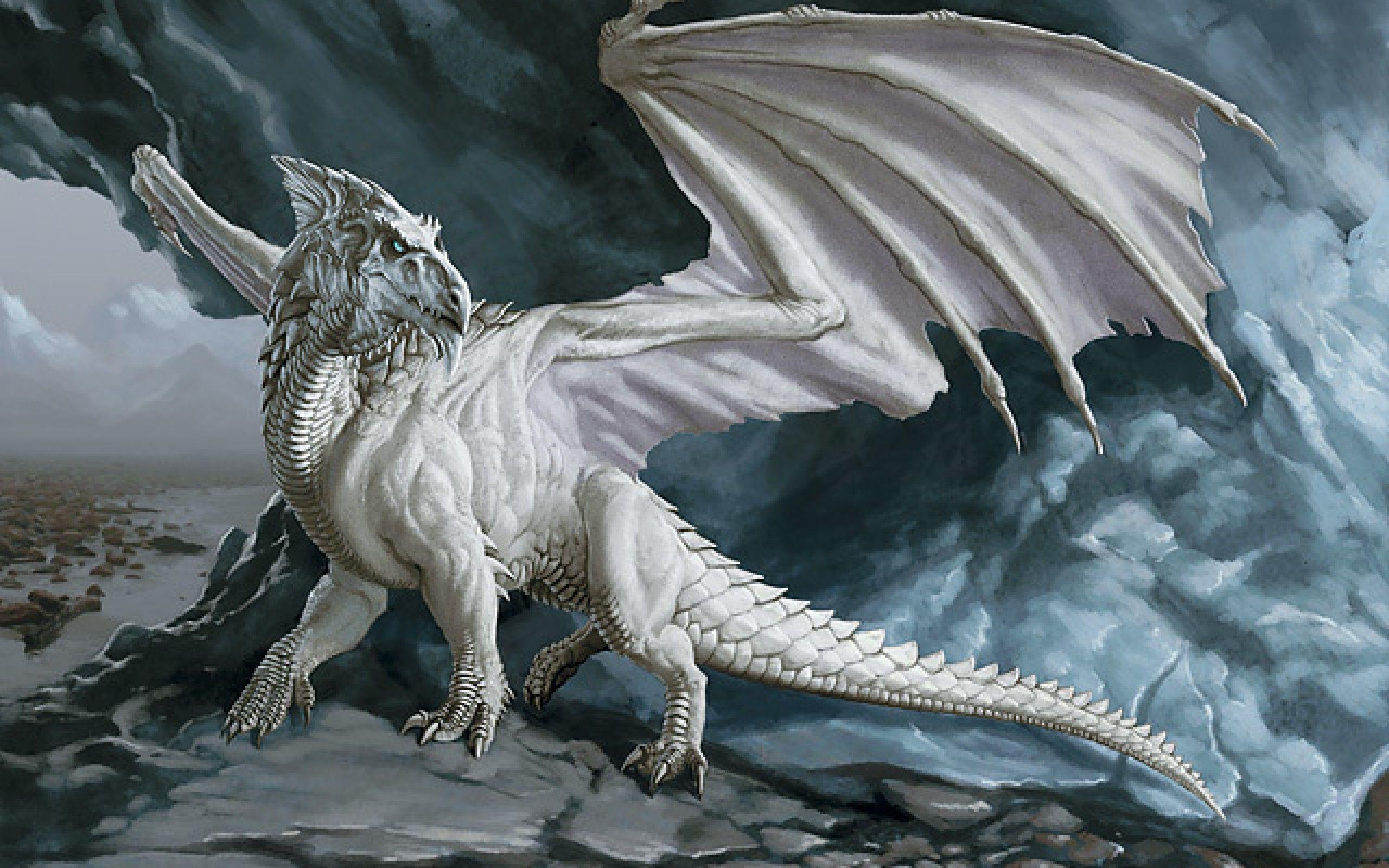 2560x1600 HD White Dragon Wallpaper
