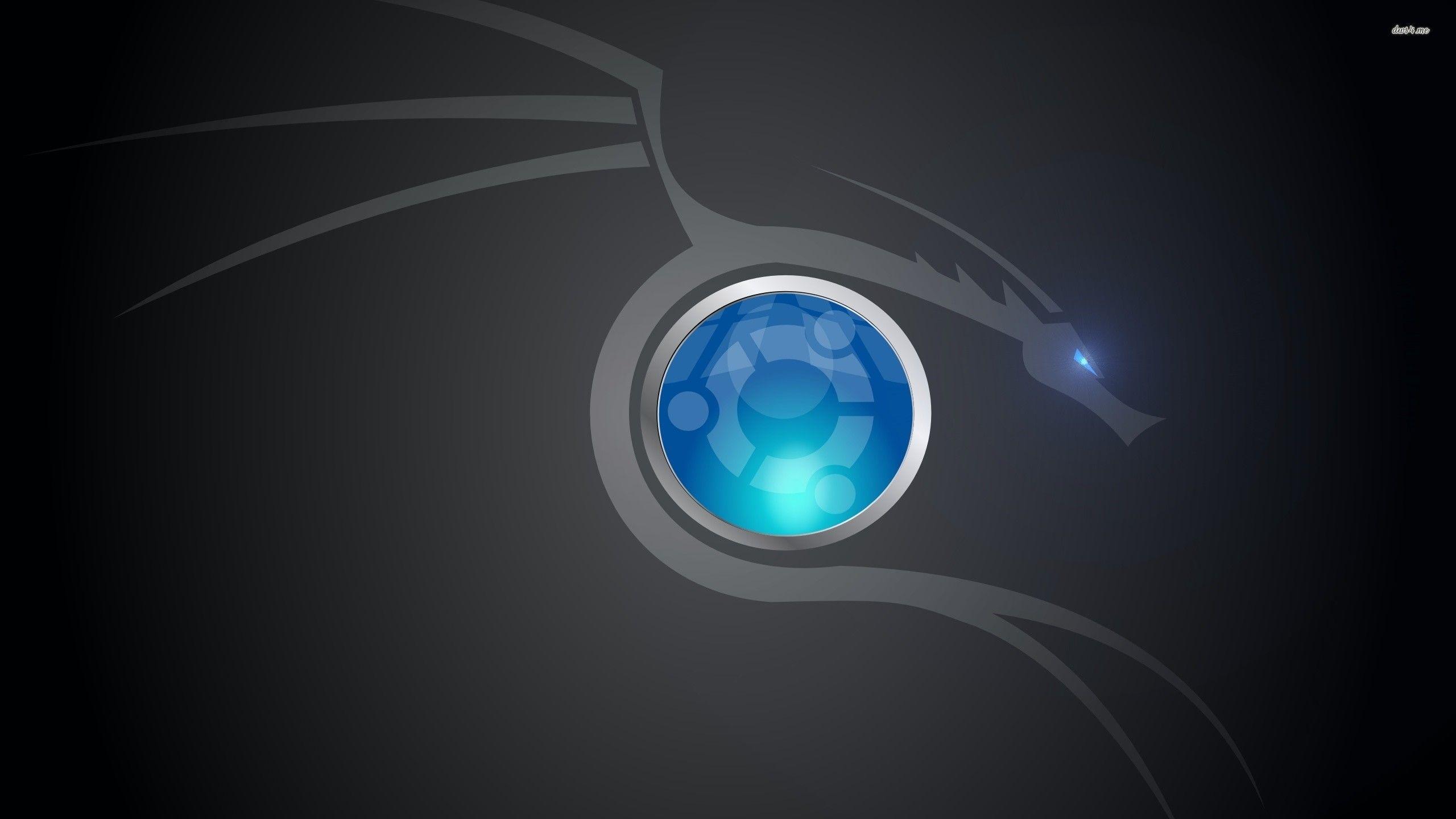 2560x1440 Ubuntu Dragon Wallpaper background picture