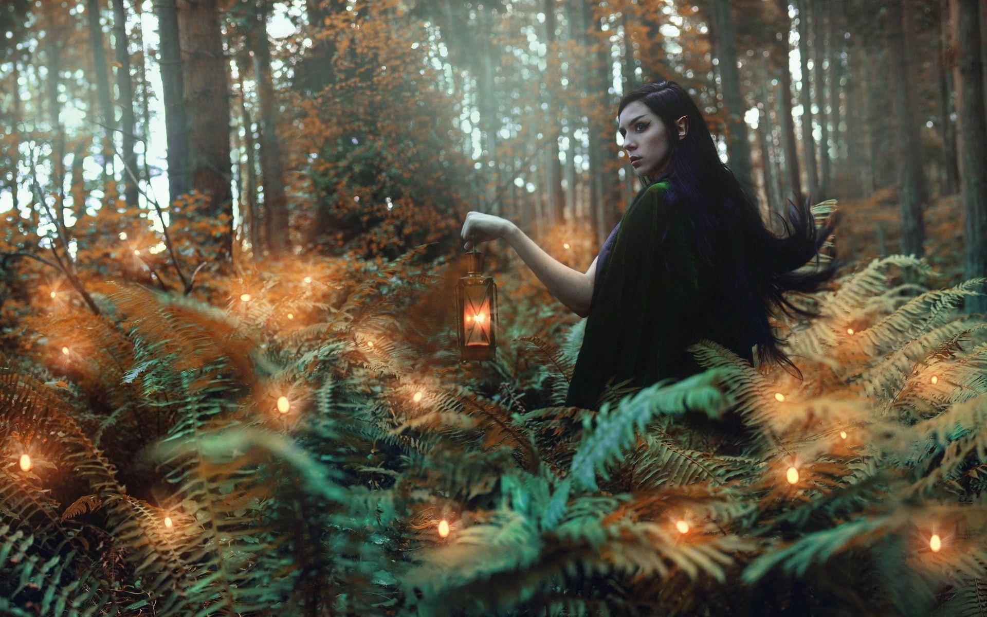 1920x1200 Elf Forest. elves, Forest Wallpaper HD / Desktop and Mobile Background. Forest elf, Forest wallpaper, Elves