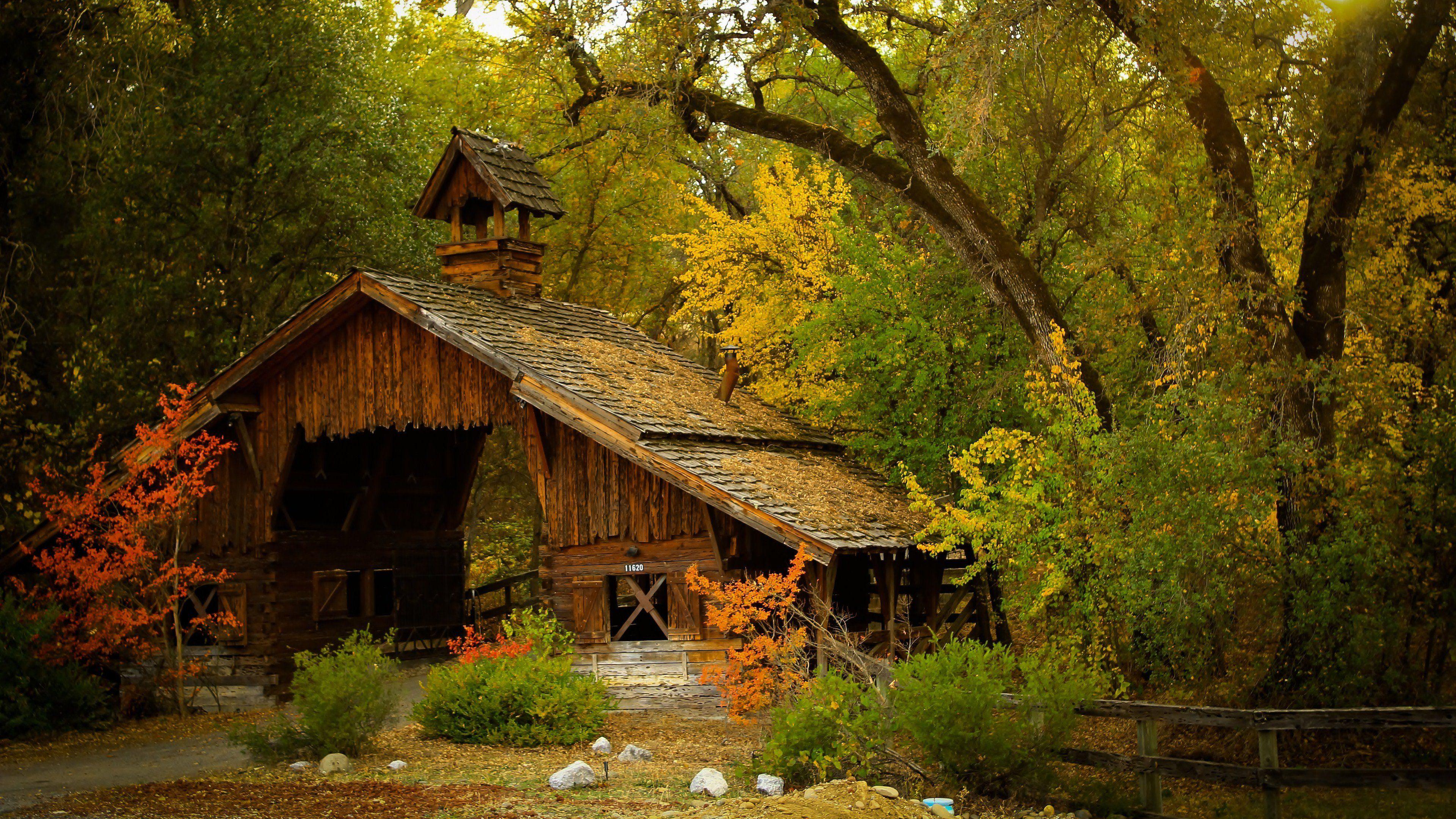 3840x2160 Forest House Landscape Nature 4K wallpaper