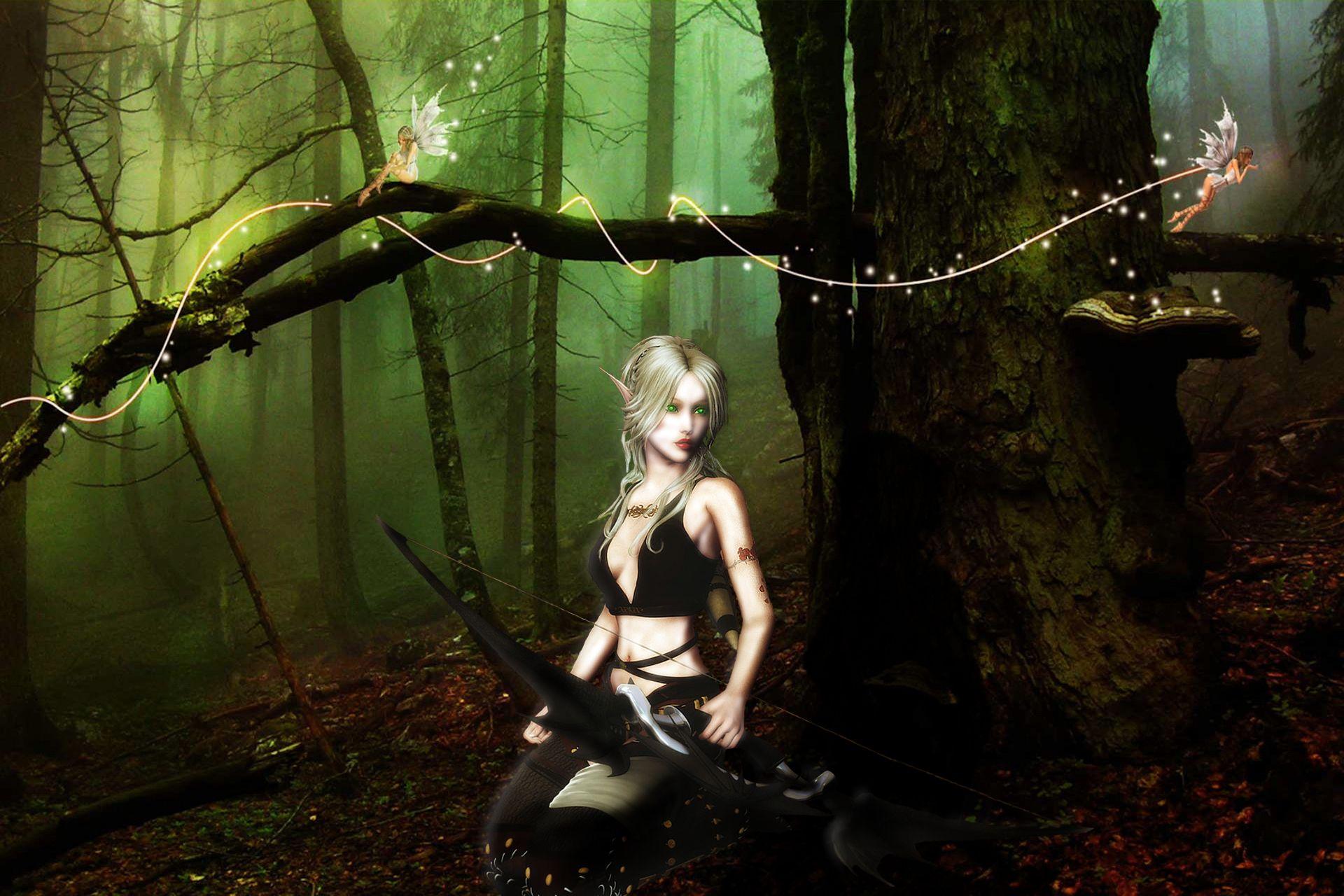 1920x1280 Elves Warrior Archer Fairy Forest Trunk tree Blonde girl Fantasy elf wallpaperx1280
