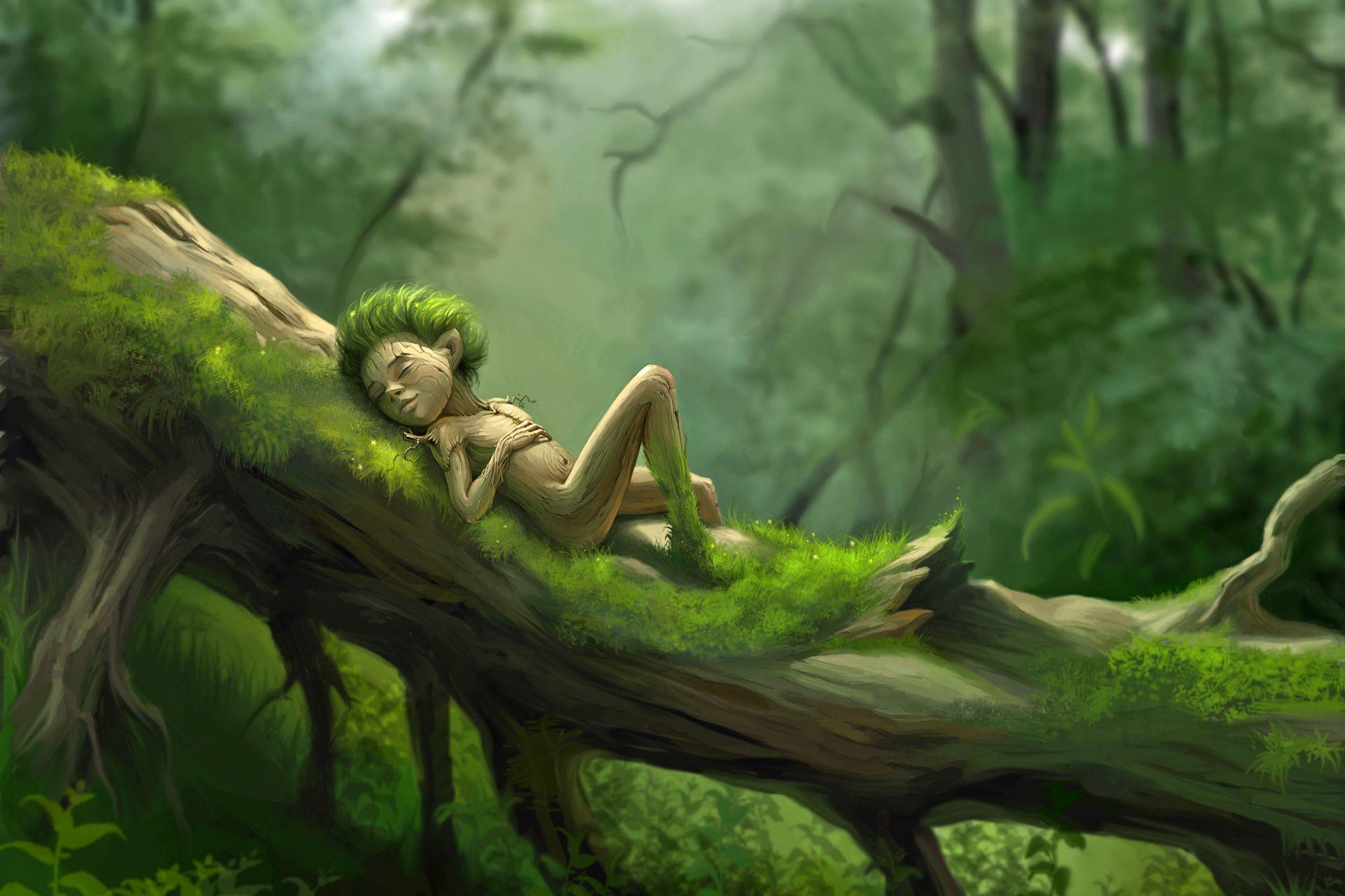 1920x1280 elemental, elf, magic, fantasy, forest wallpaper