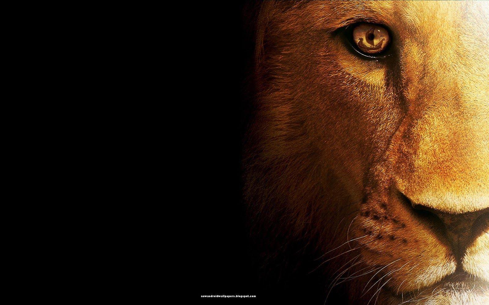 mac wallpaper hd lion