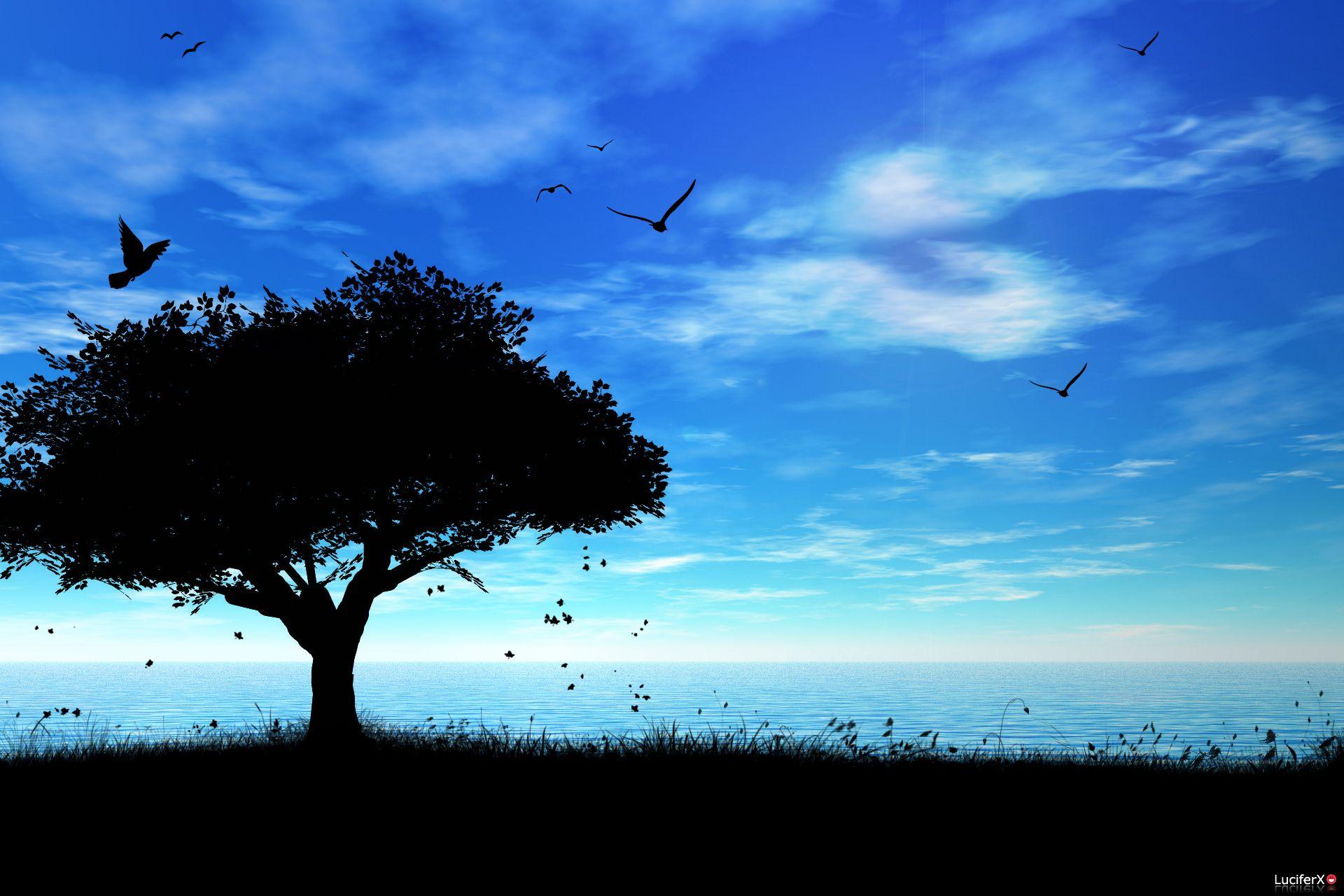 1920x1280 HD Quality Wallpaper: Big Image For Desktop, Free Download, PVD HD Quality