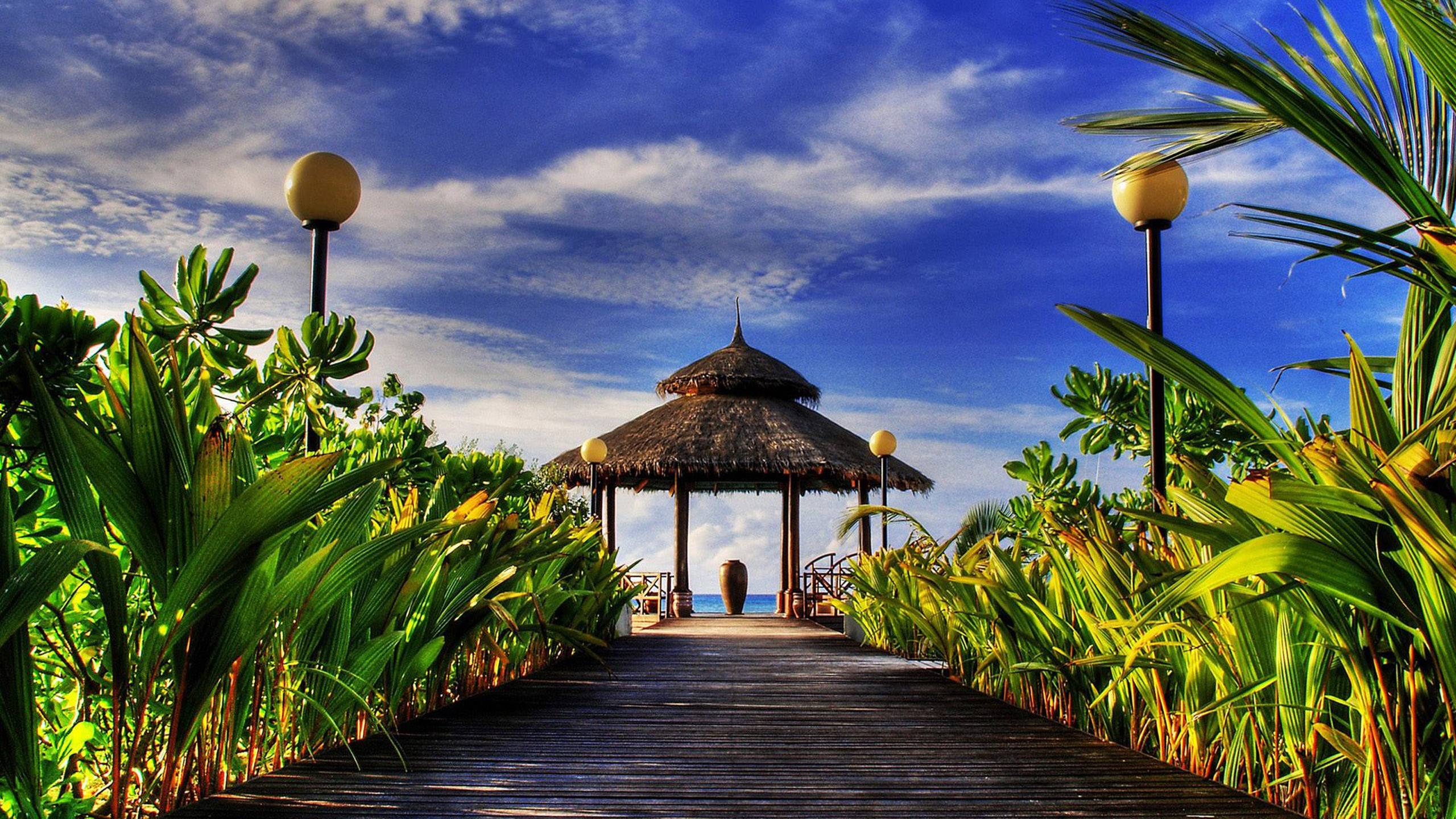 2560x1440 Hut Wallpaper