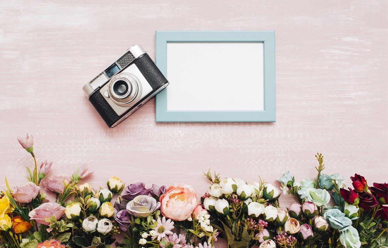 1332x850 Wallpaper flowers, background, frame, The camera image for desktop, section стиль