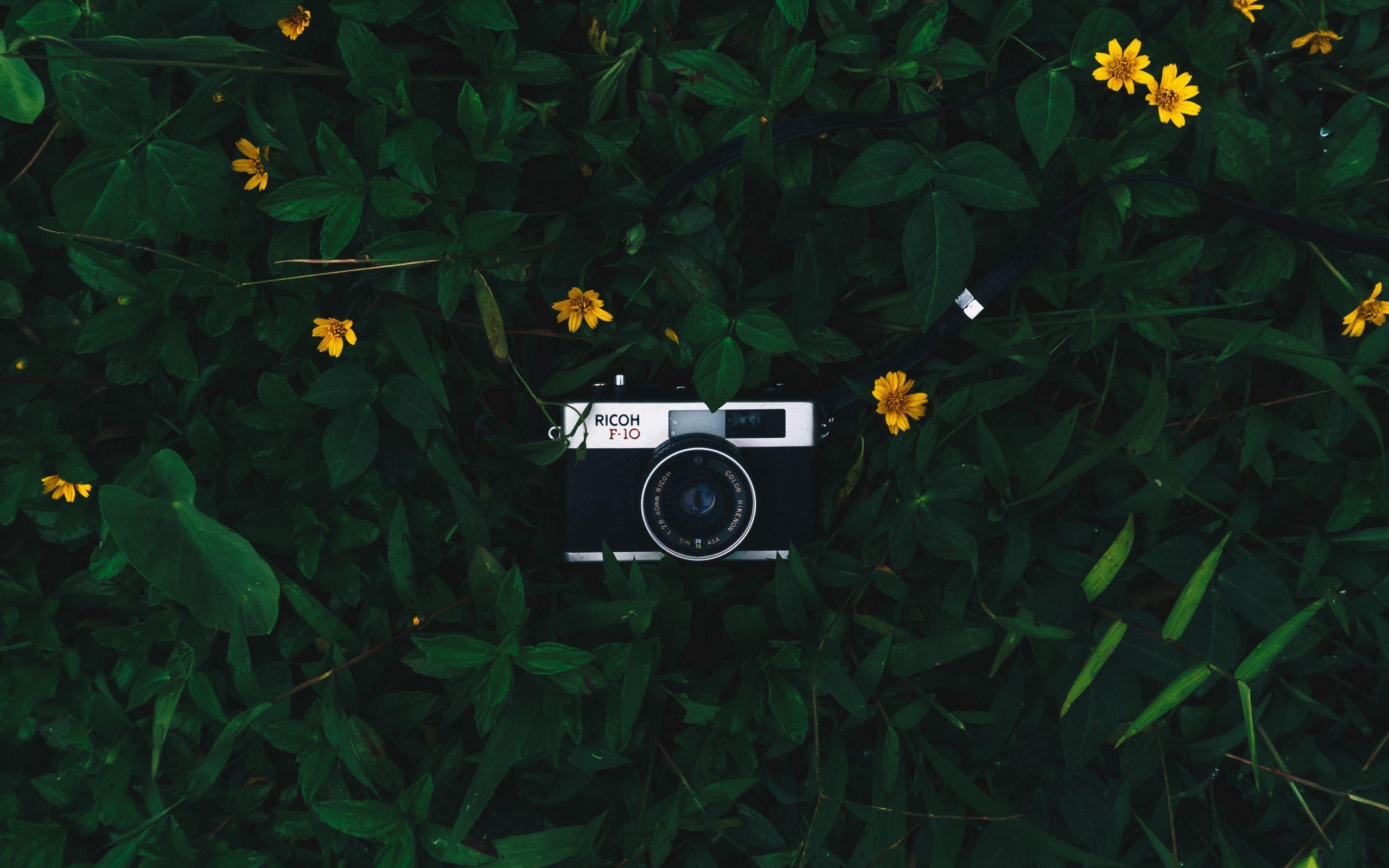 2560x1600 Download wallpaper 2560x1600 camera, lens, leaves, flowers, green, yellow widescreen 16:10 HD background