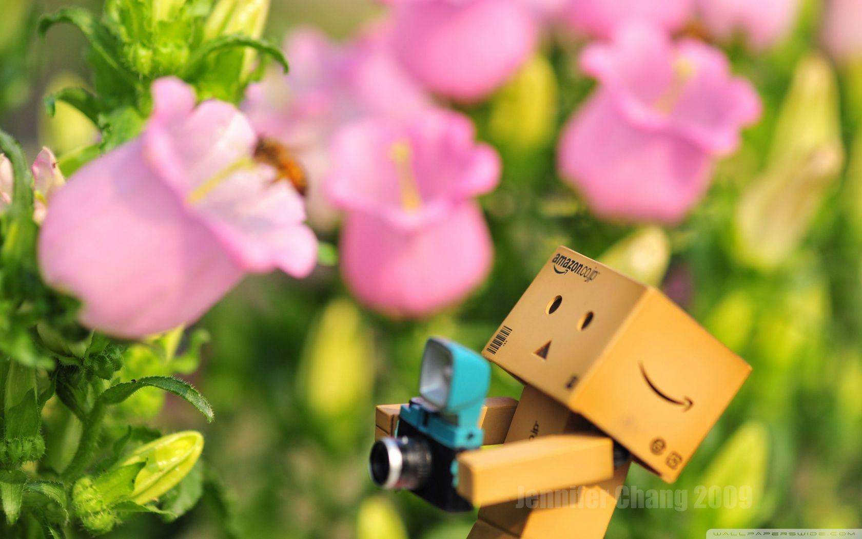 1680x1050 Danbo Camera Classic HD Wallpaper