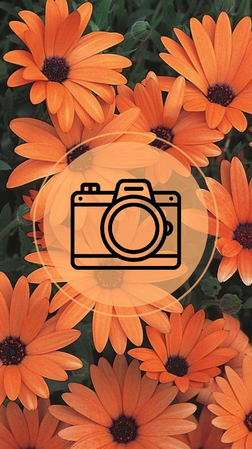 870x1548 instagram #template #templatelaranja #laranja #camera #flowers. Ideias instagram, Imagem laranja, Instagram