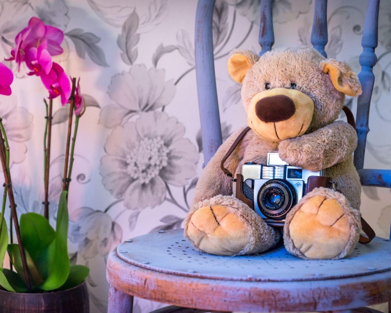 1280x1024 Teddy Bear Camera desktop PC and Mac wallpaper