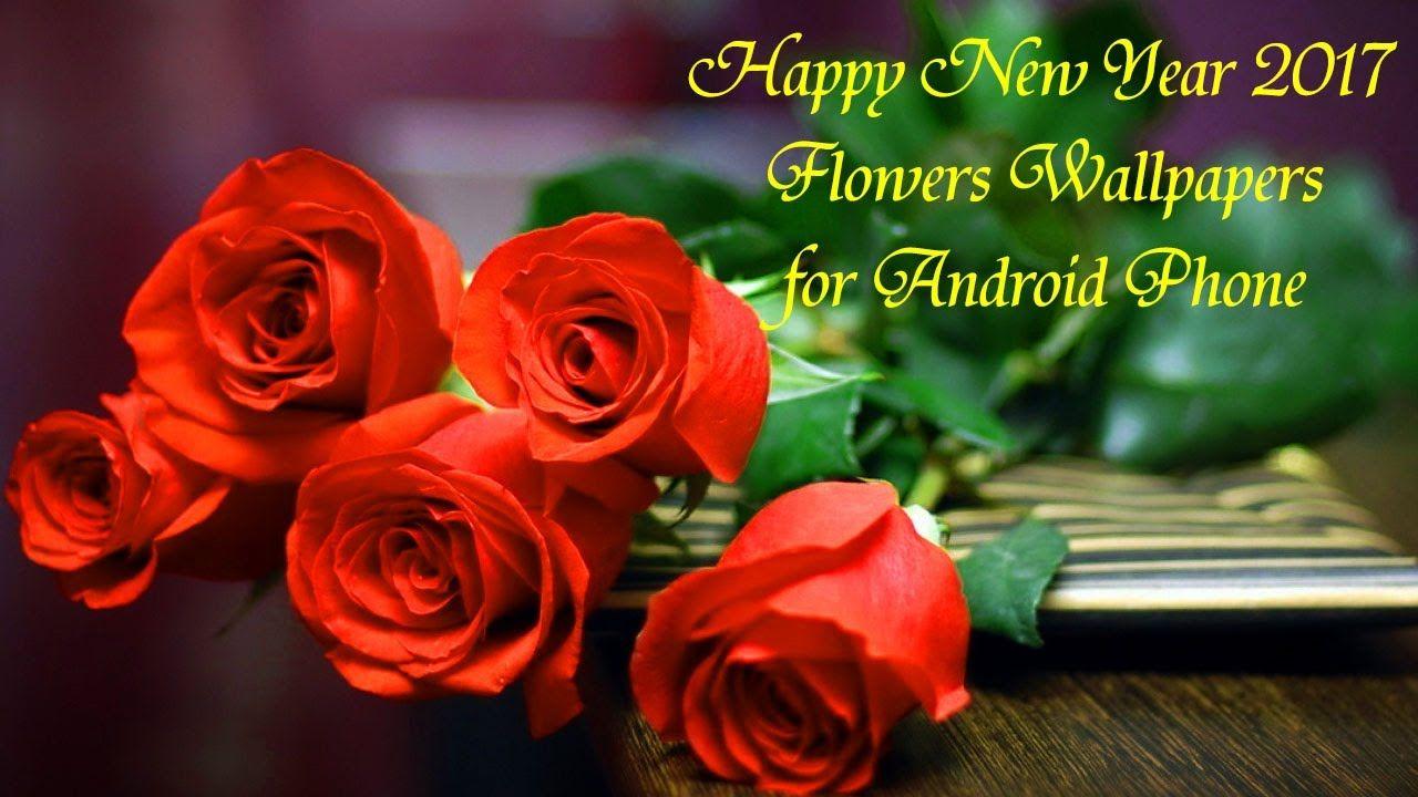 Happy Flowers Wallpapers Top Free Happy Flowers Backgrounds