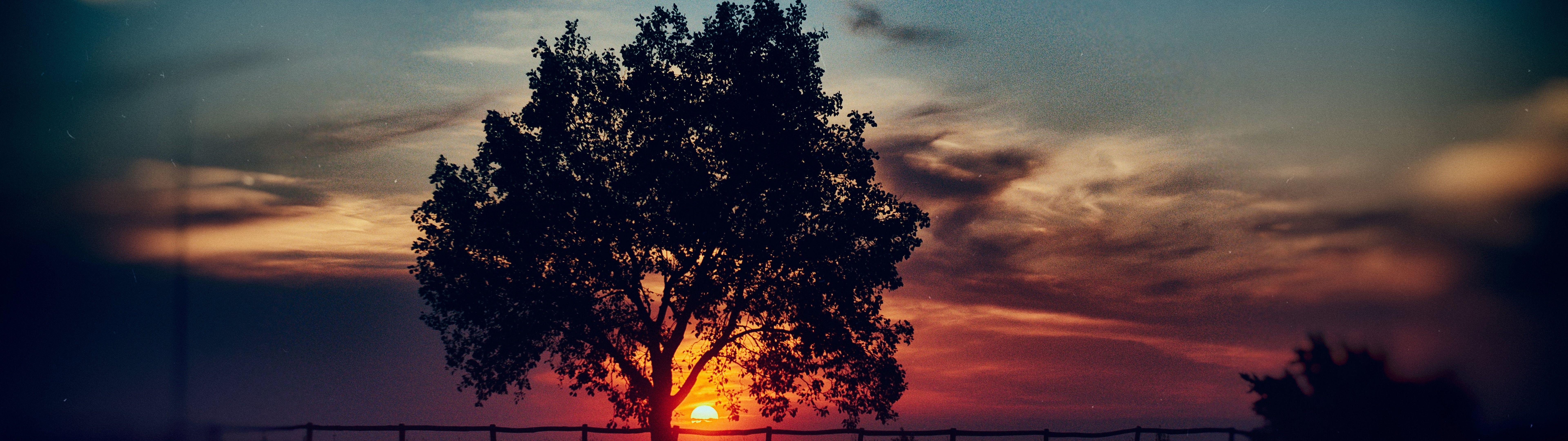 7680x2160 Sunset, Scenery, Tree, Landscape, Nature, 8k, 7680x 1280 X 960 HD