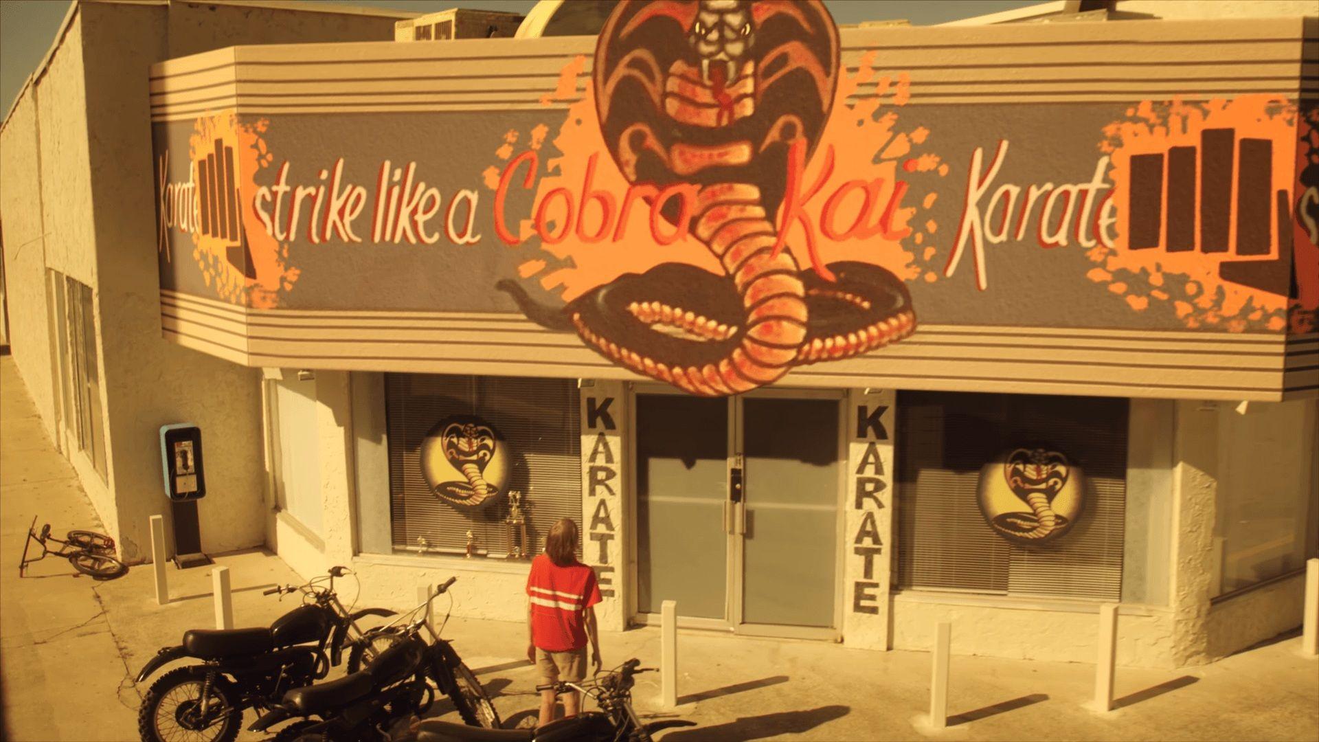 1920x1080 Cobra Kai Wallpaper