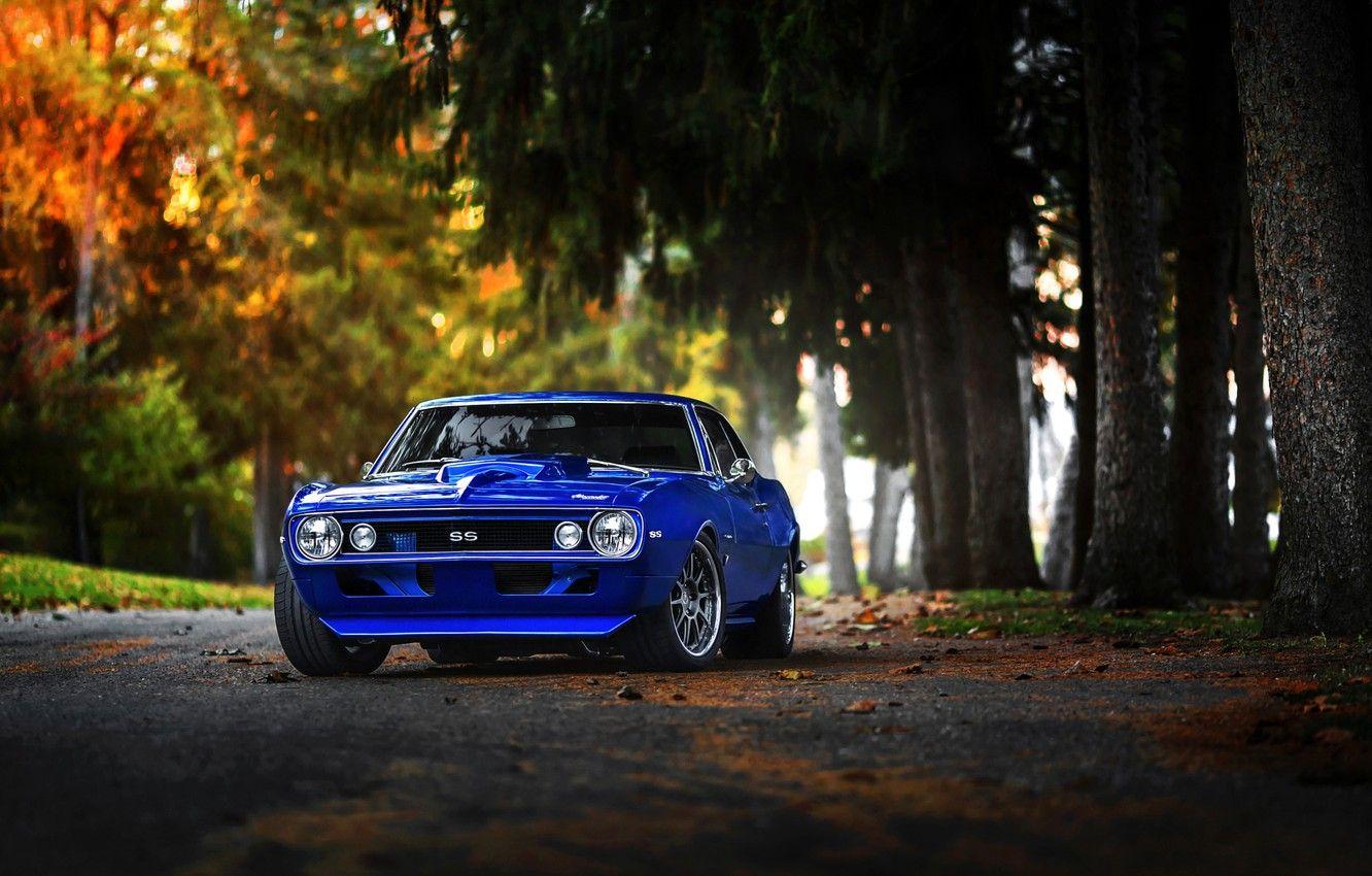 1332x850 Wallpaper Chevrolet, Muscle, Camaro, Car, Fall, Blue, Color, Forest image for desktop, section chevrolet