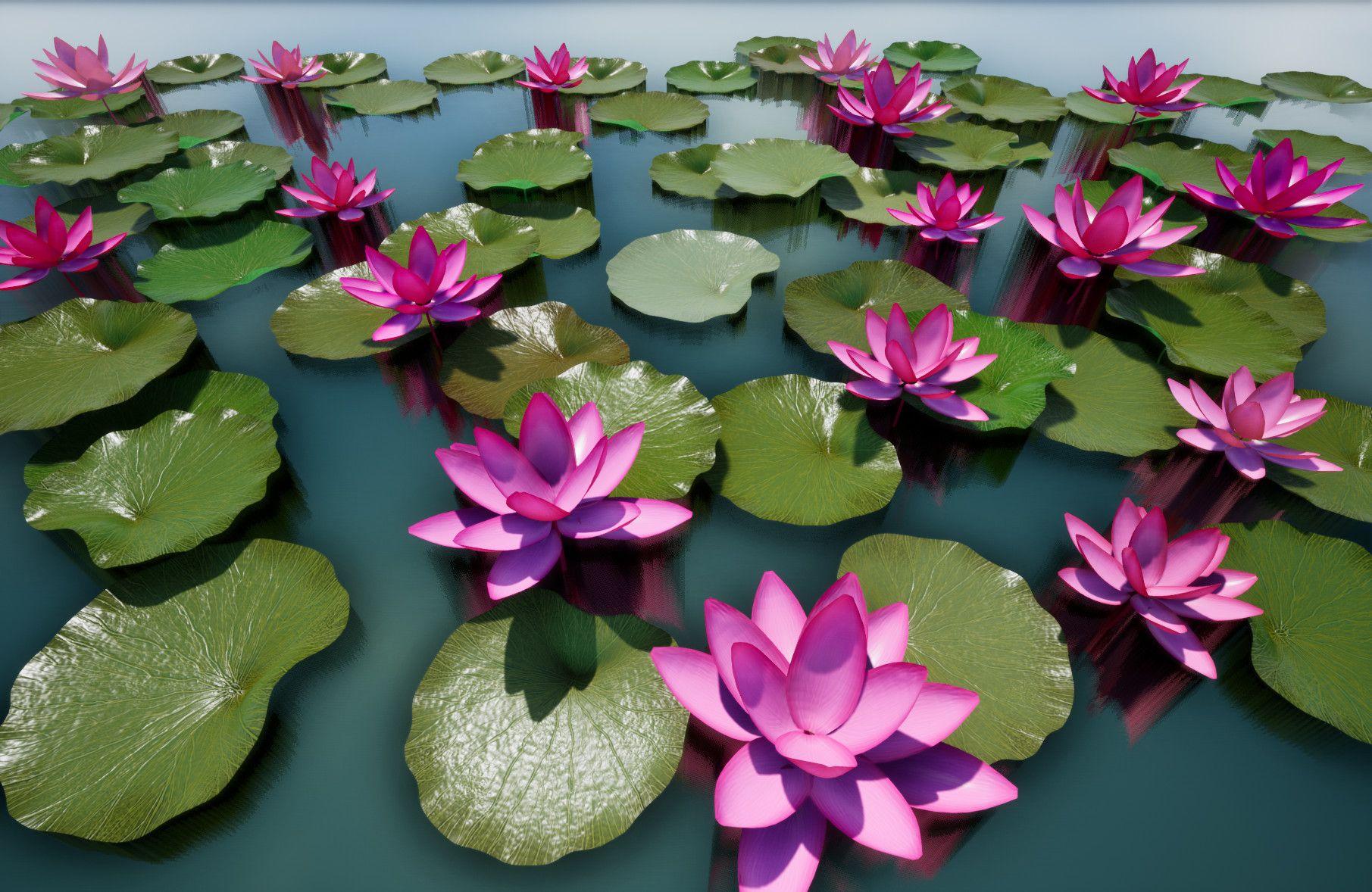 1811x1178 Lotus Pond, Chetan Biswas