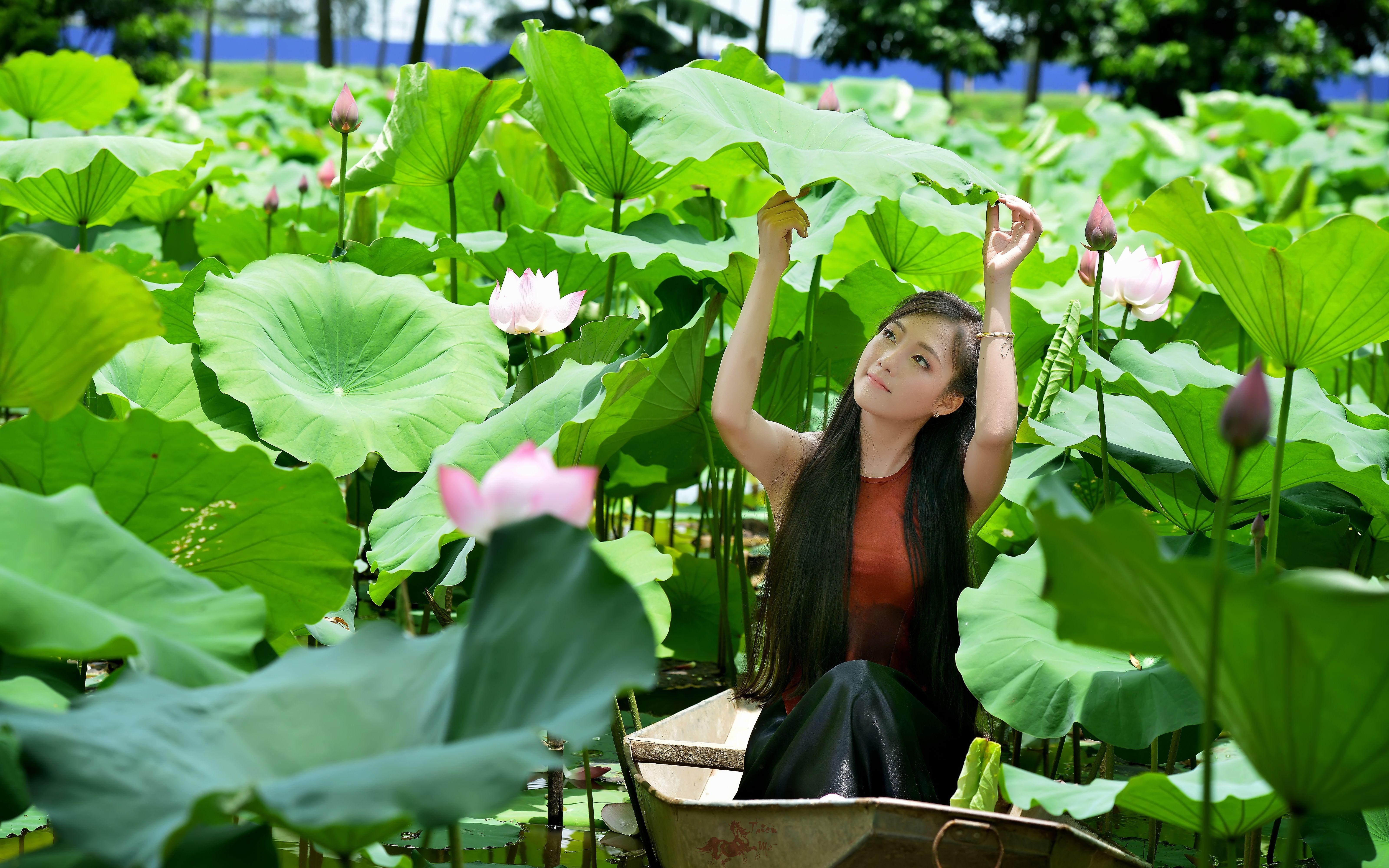 6400x4000 Asian Boat Girl Leaf Lotus Pond Vietnamese Woman Wallpaper:6400x4000