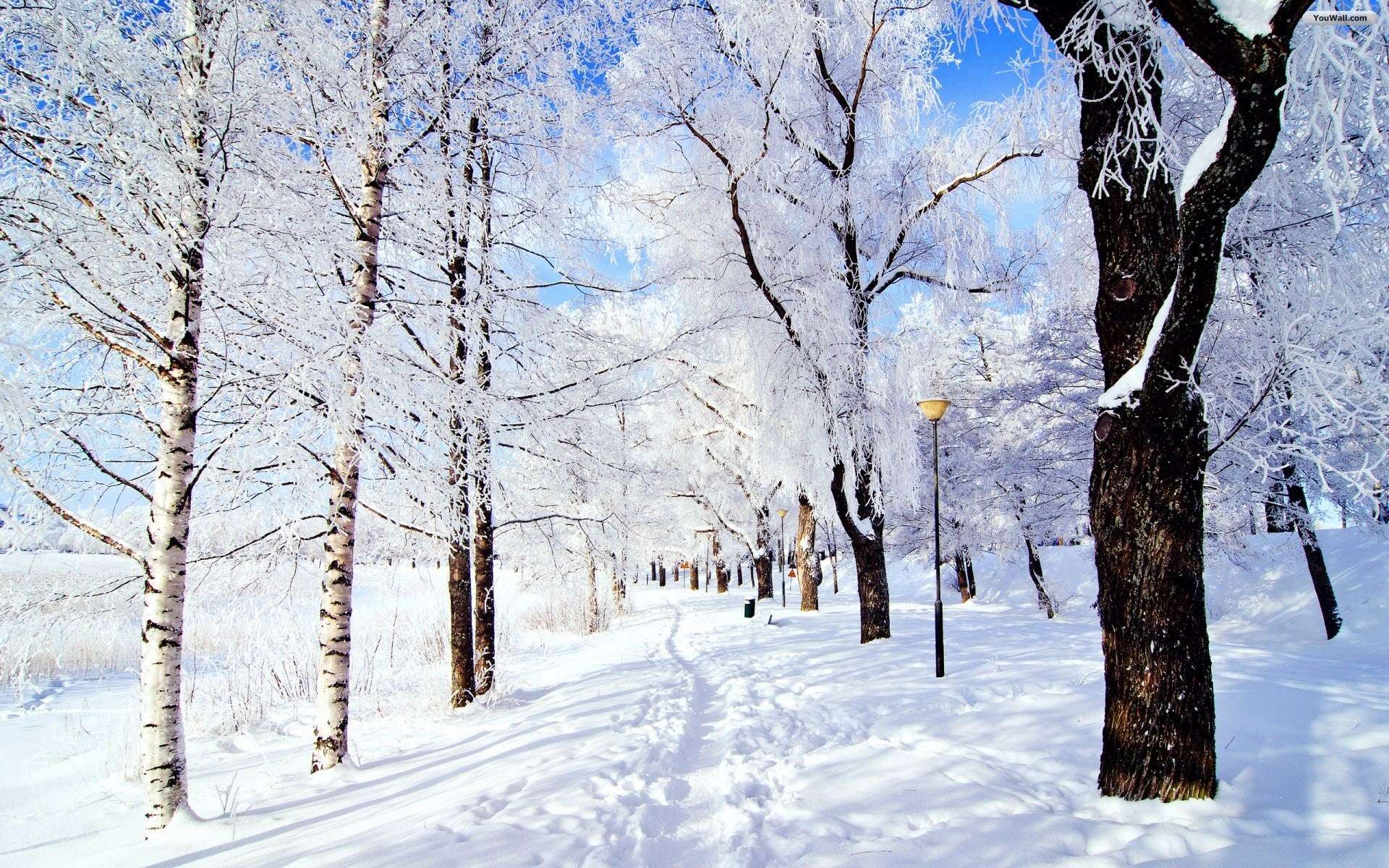 1920x1200 Desktop Wallpaper Snowy