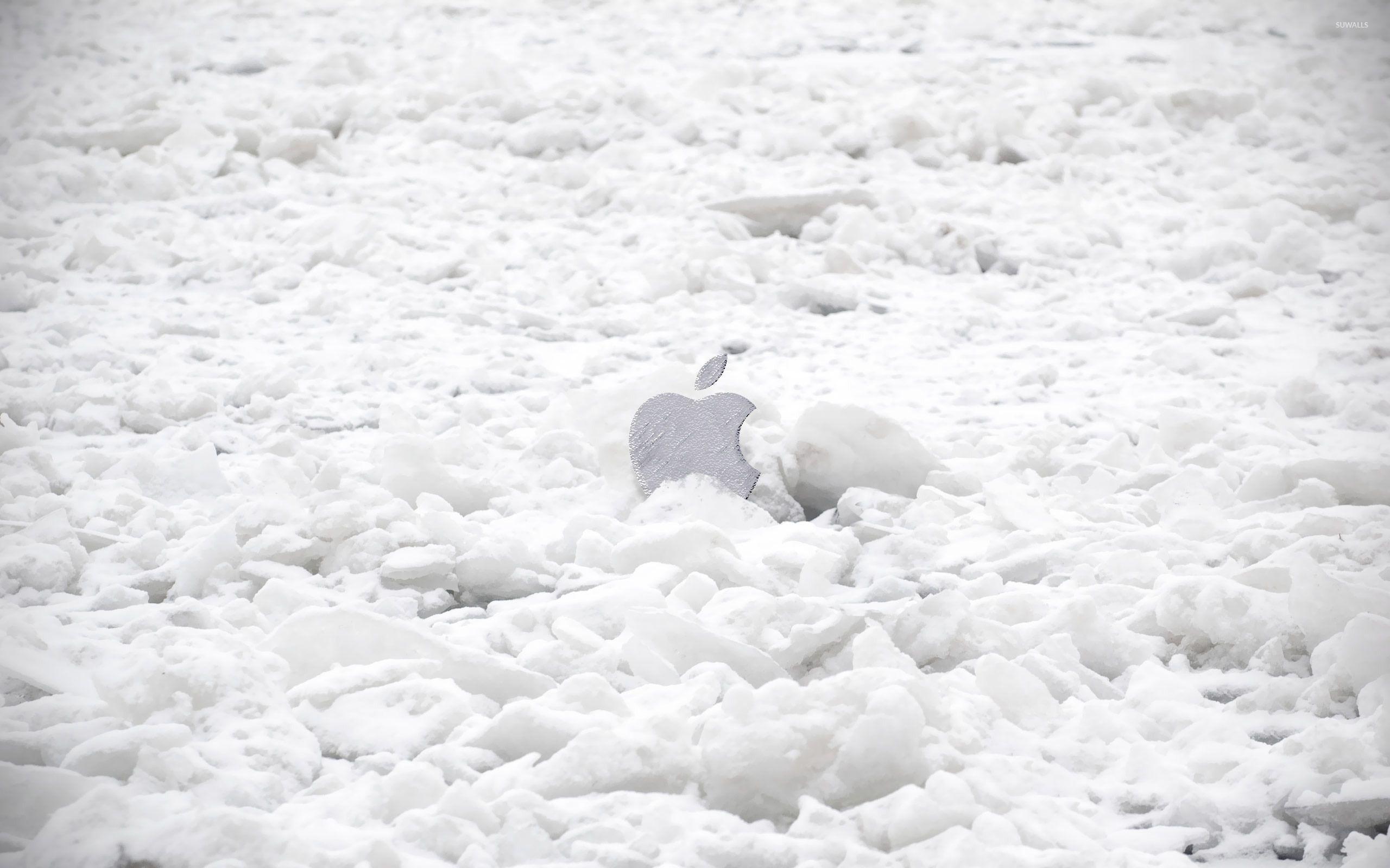 2560x1600 Apple logo in the snow wallpaper wallpaper