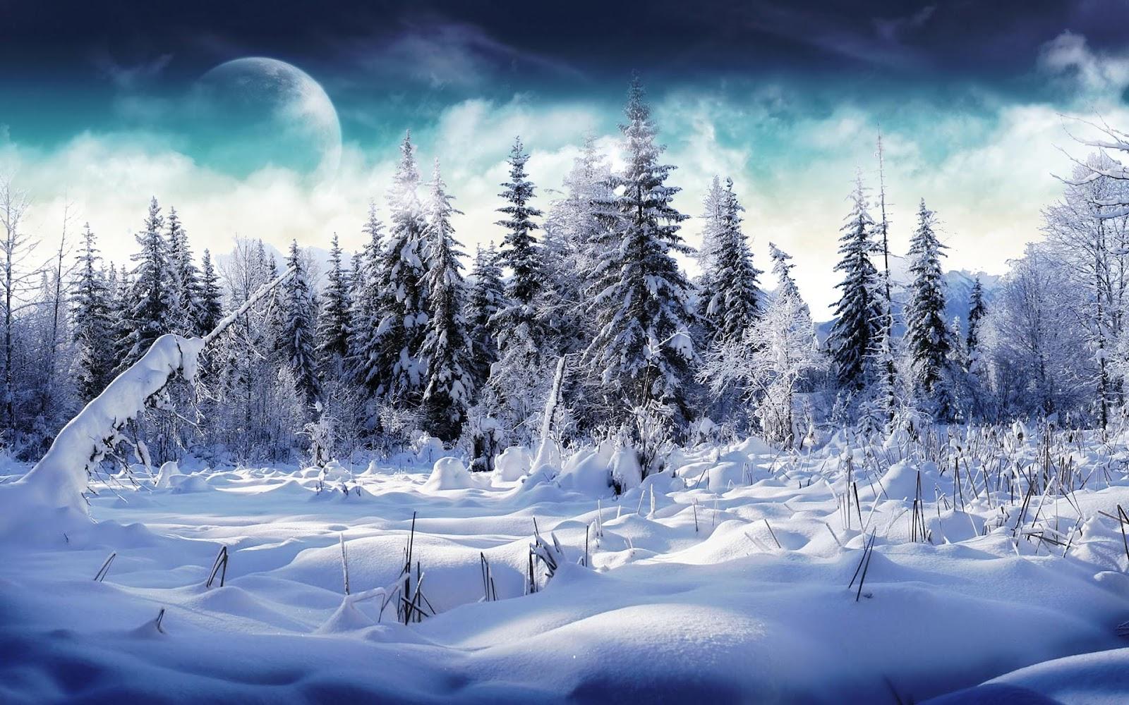 1600x1000 Snowy Desktop Background. Snowy Wallpaper Fireplace, Snowy Birds Wallpaper and Snowy Background