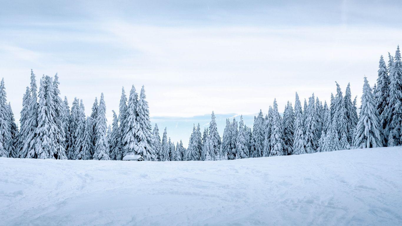 1366x768 Download wallpaper 1366x768 snow, winter, trees, winter landscape, snowy tablet, laptop HD background